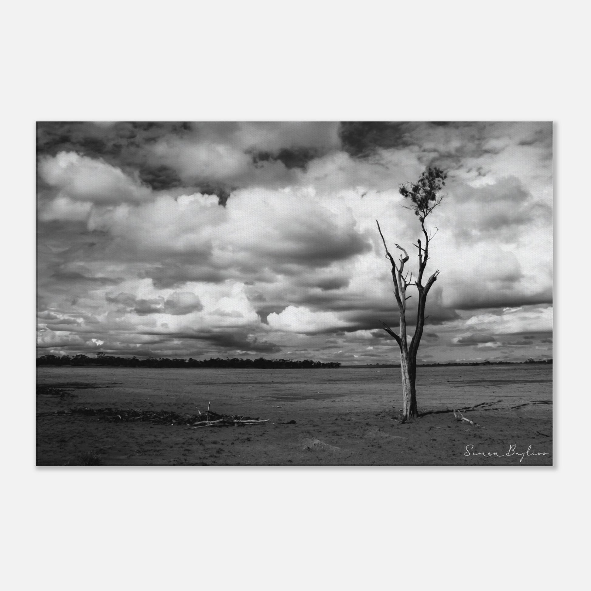 f0064e87-7a4d-4229-9706-3c85d60777ef