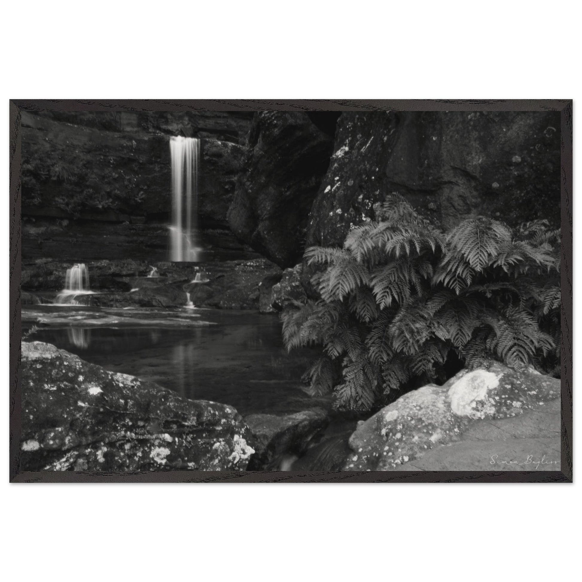 f041b18a-6ce1-458d-84b1-c72a9a2f8d3a