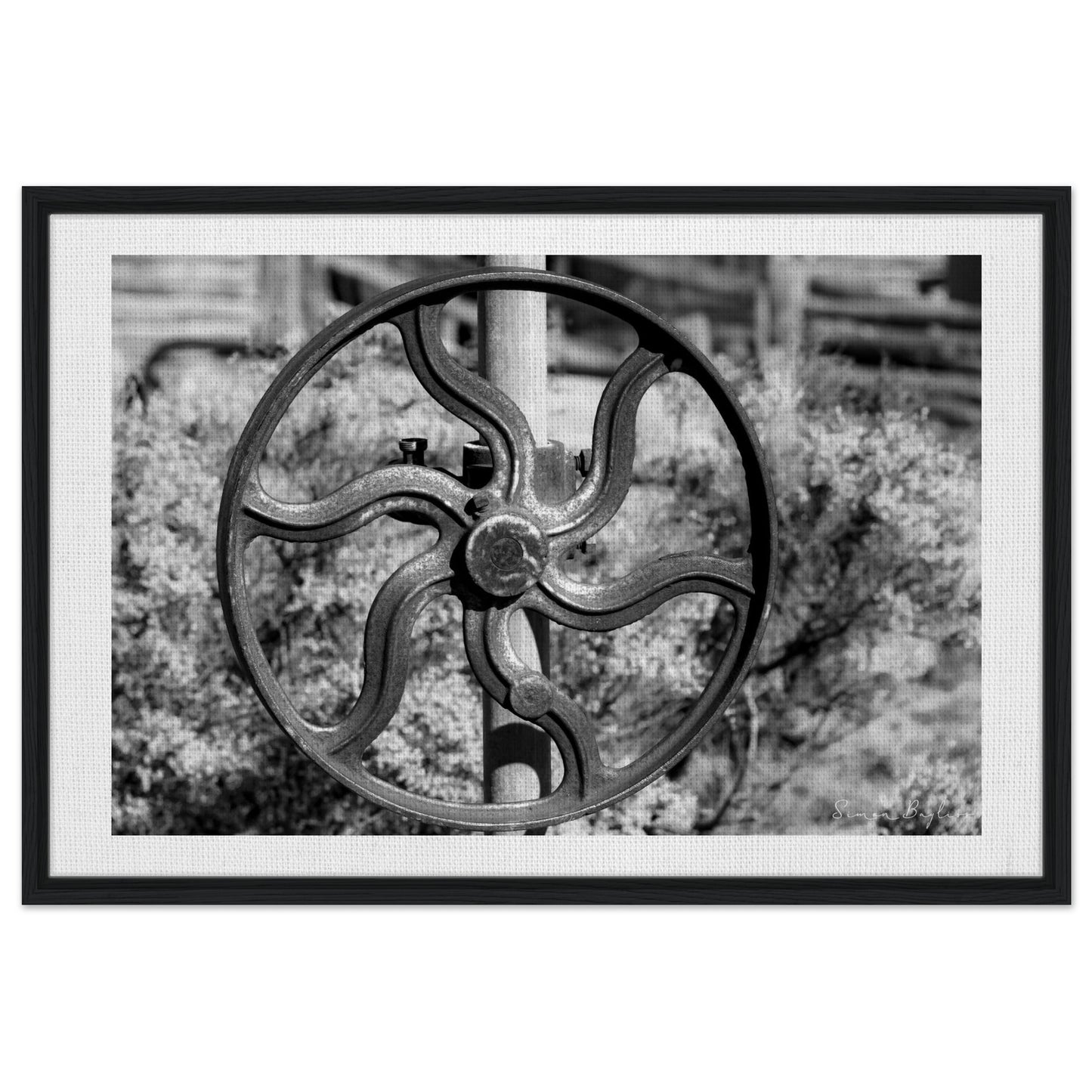 f04bac9d-a550-46e9-9c7b-3ad98e318ed2