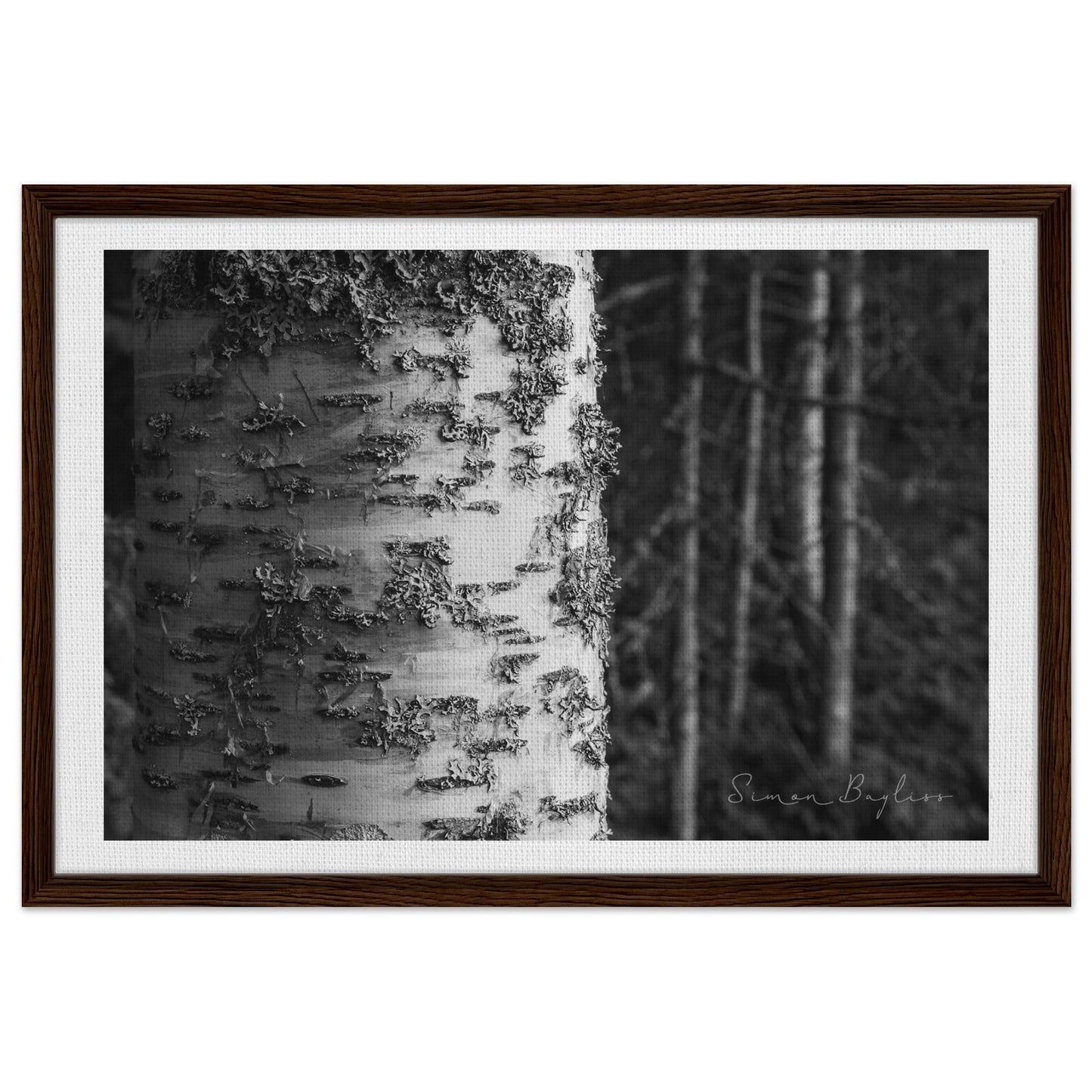 f0571b1a-1739-4bc5-9756-7d1f08b52ebe