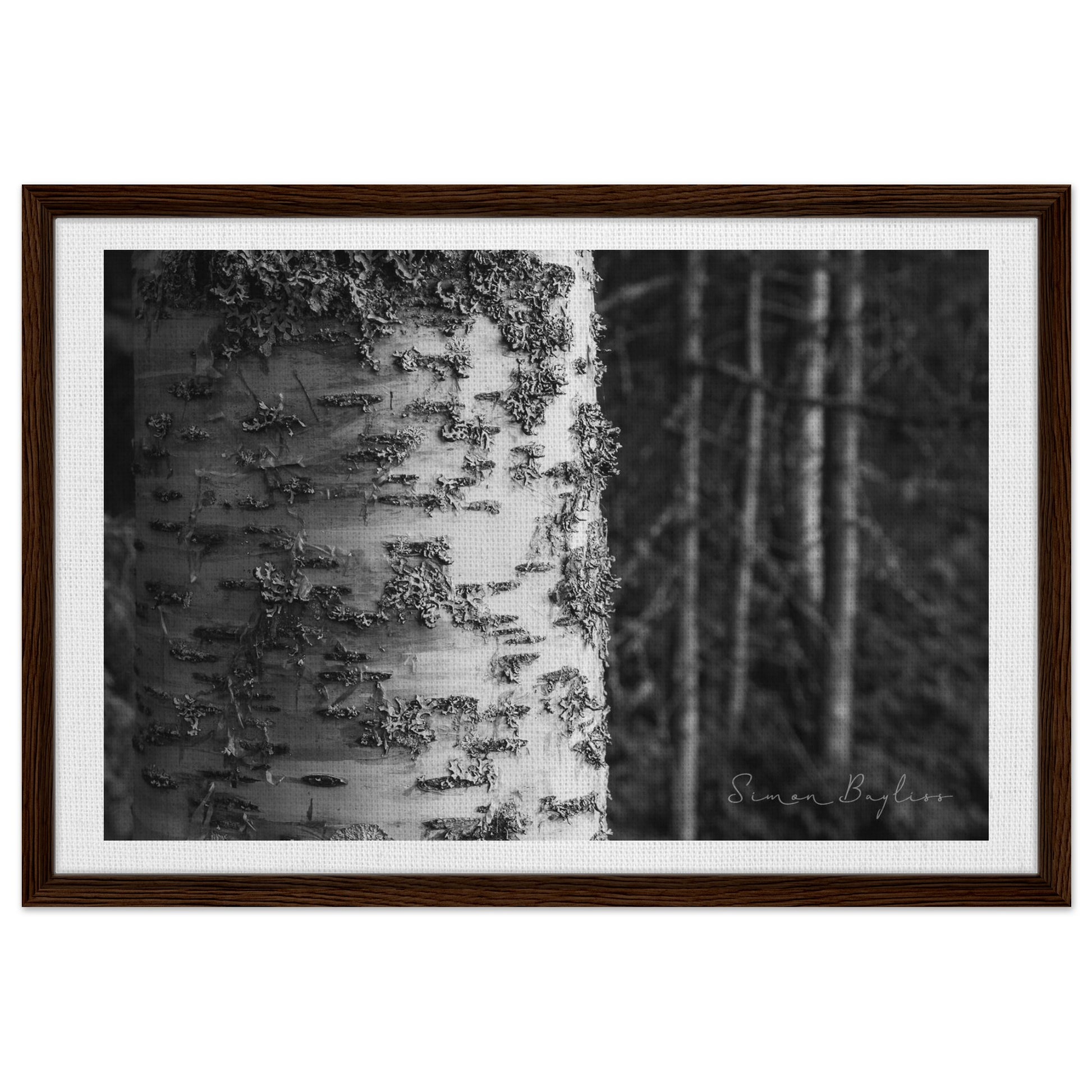 f0571b1a-1739-4bc5-9756-7d1f08b52ebe