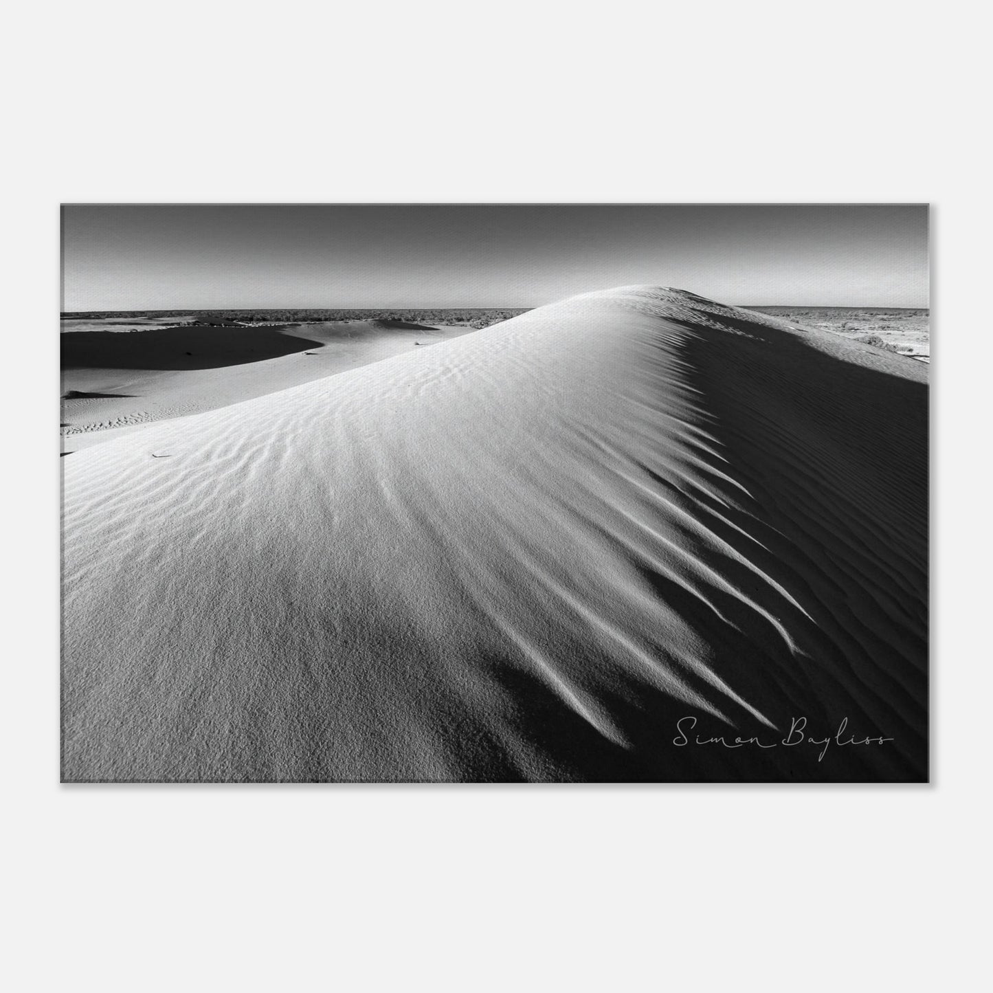 f0d51f13-a872-4854-87b7-34056a931dac