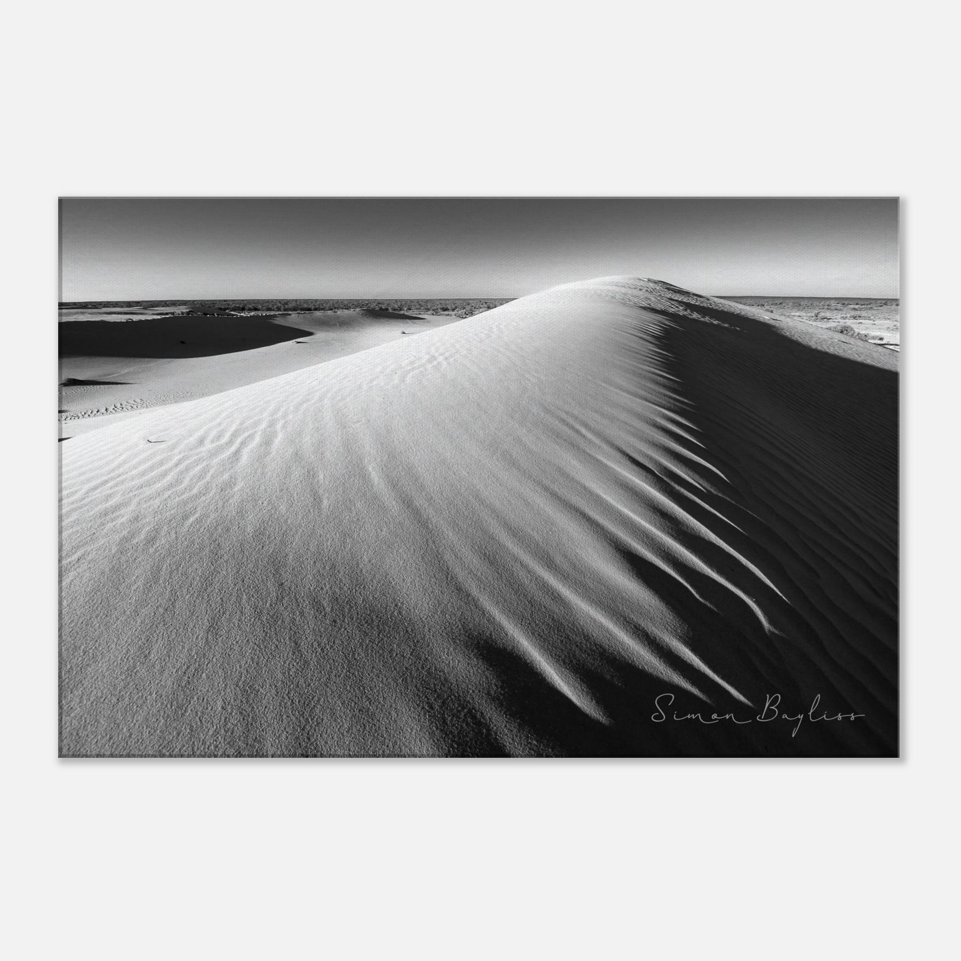 f0d51f13-a872-4854-87b7-34056a931dac