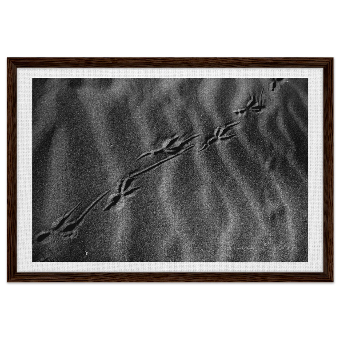 f19ff5fc-6653-4183-8164-cae051827693