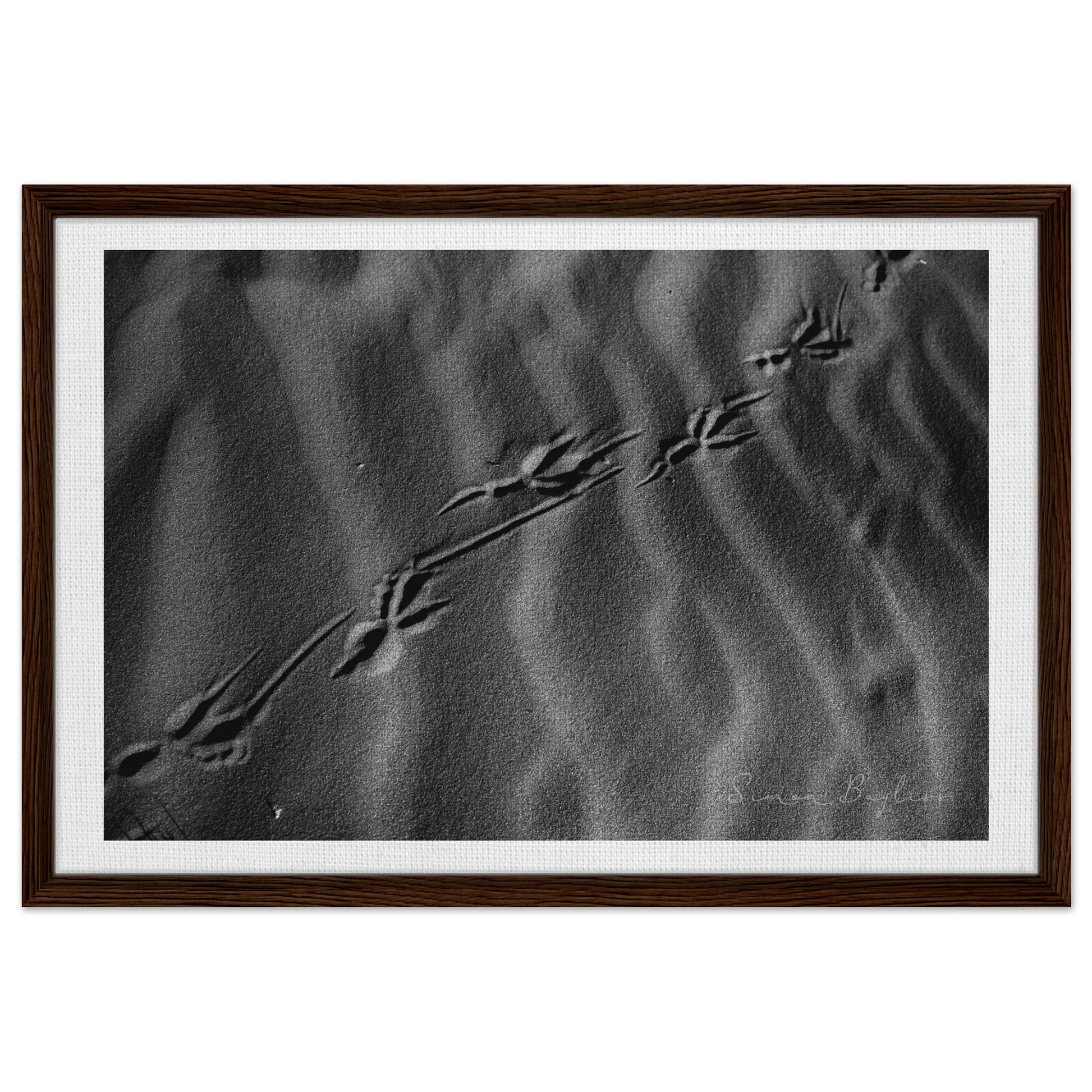 f19ff5fc-6653-4183-8164-cae051827693