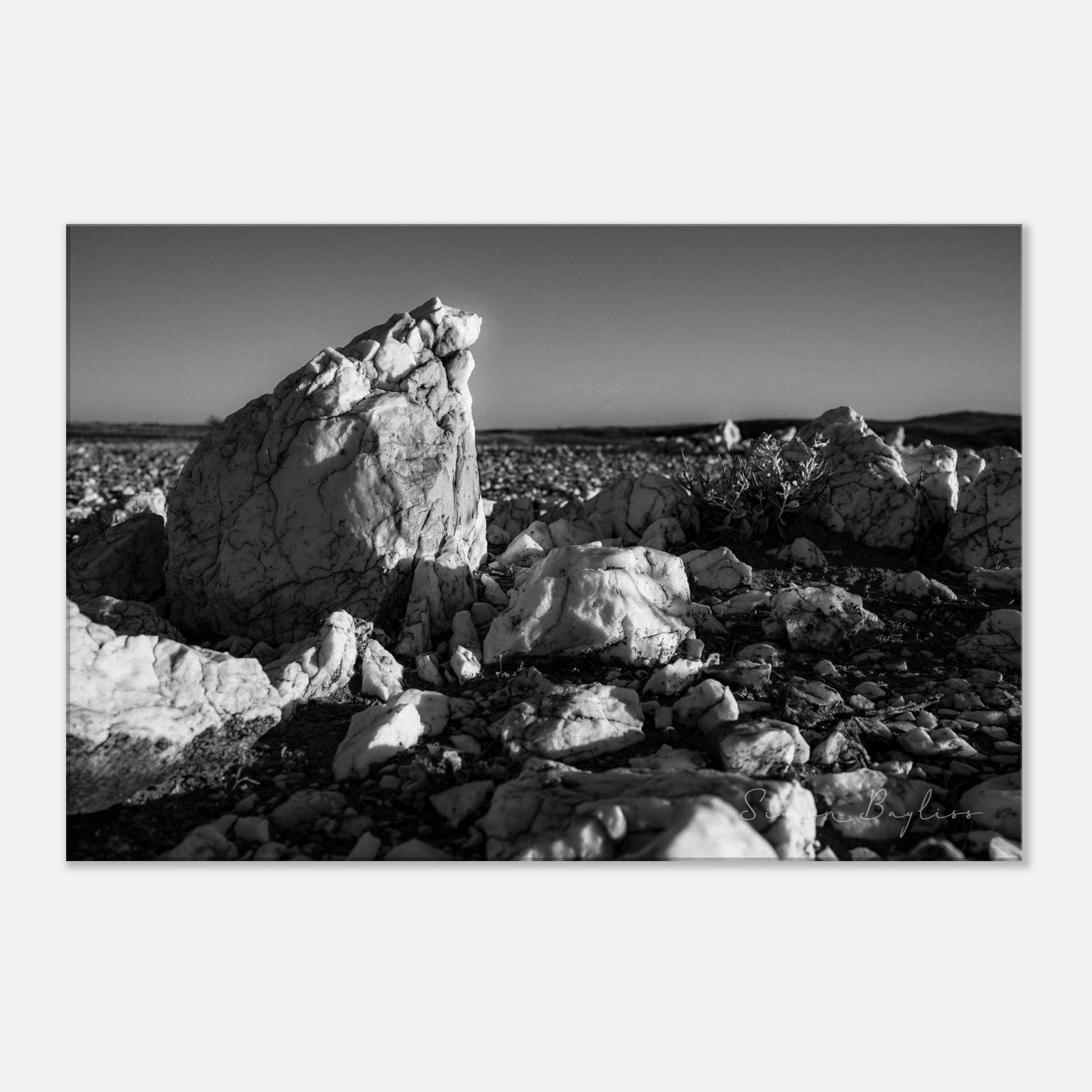 f2654c8d-184e-45f0-8080-069739aff9da