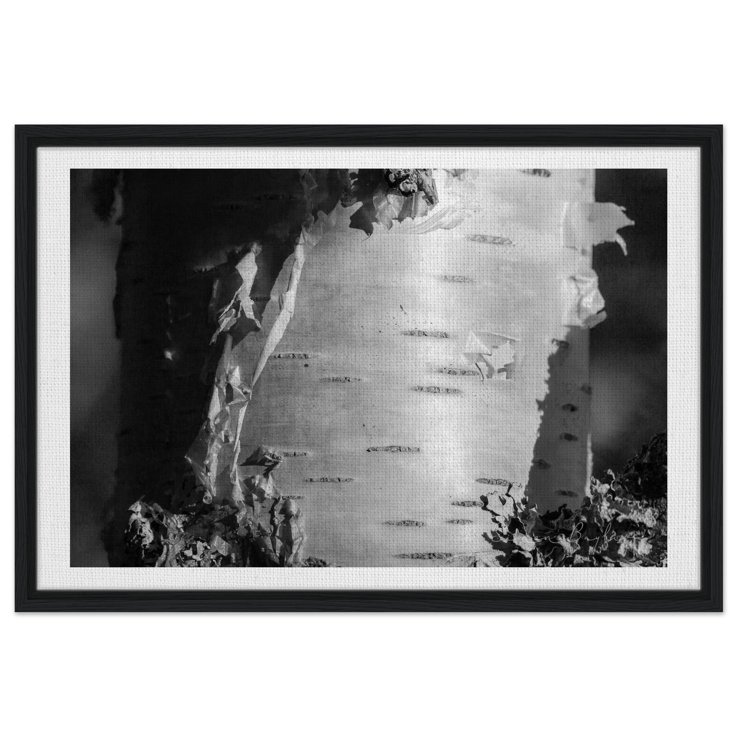 f2c738d5-6324-4ac4-9fb0-8872392b1bd3