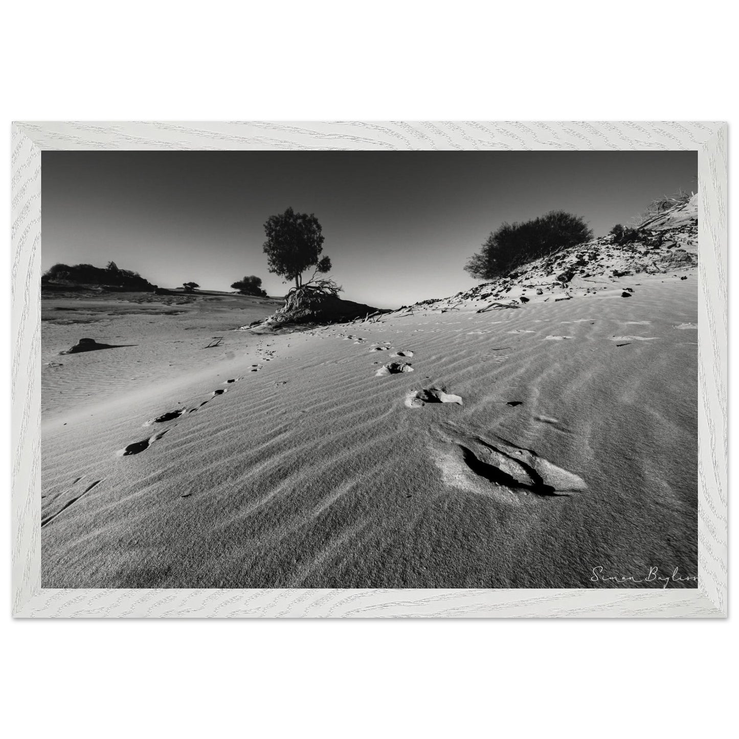 f3788788-418d-4cd1-a315-31b61ffef6dd