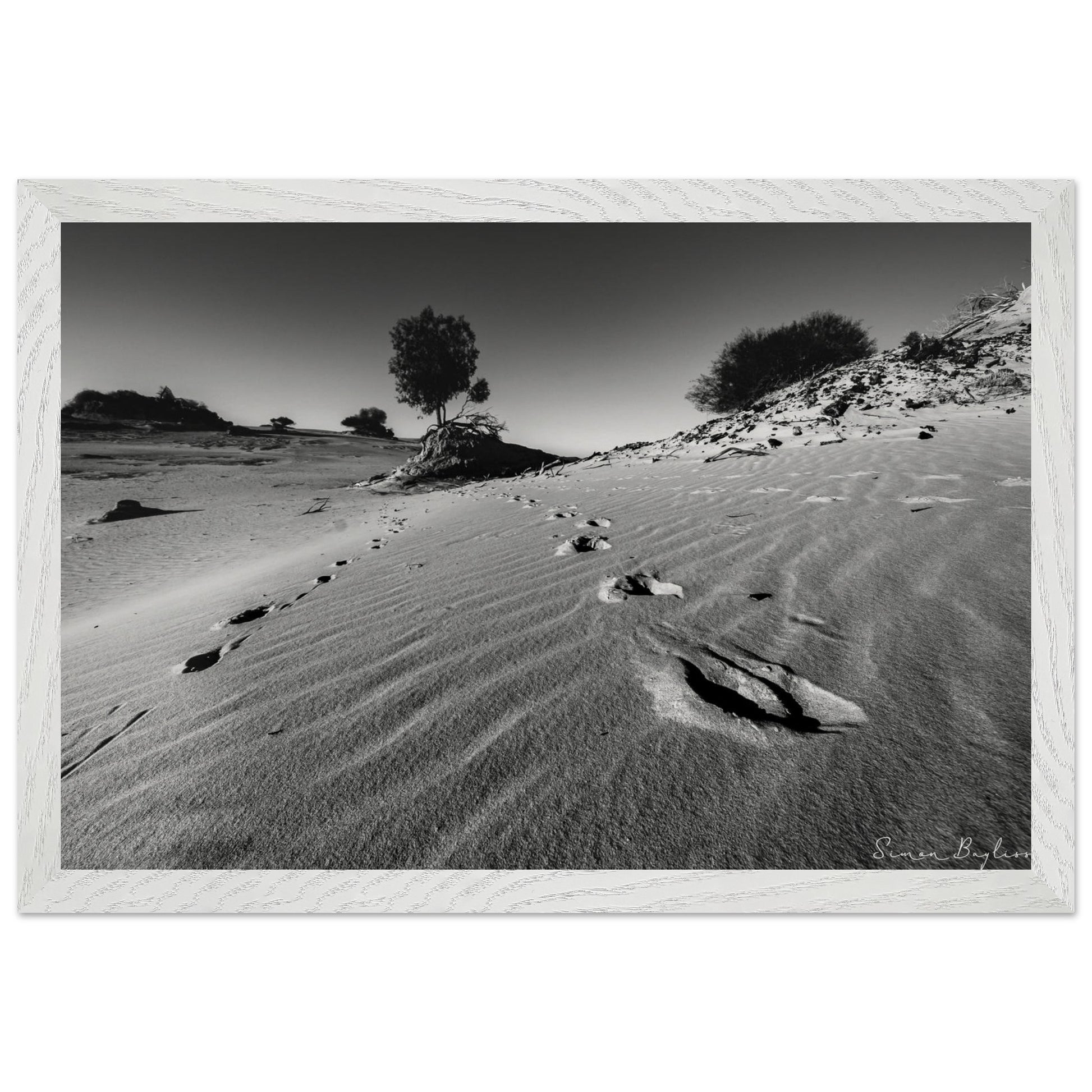 f3788788-418d-4cd1-a315-31b61ffef6dd