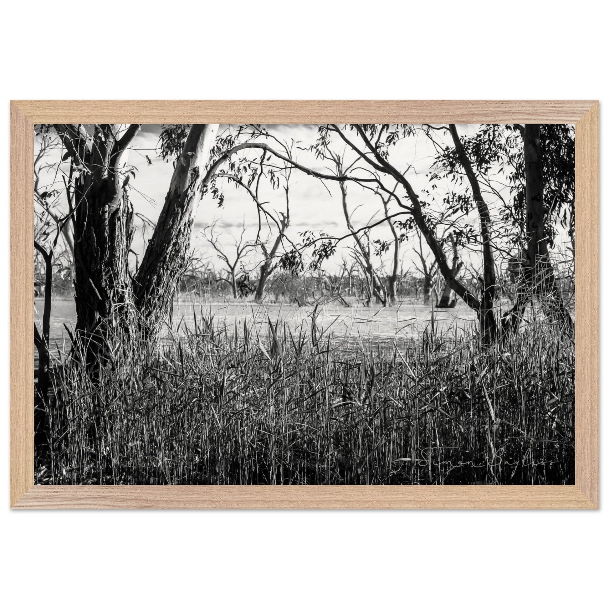 f3b8598c-0c58-4862-9103-2c0115fe9672