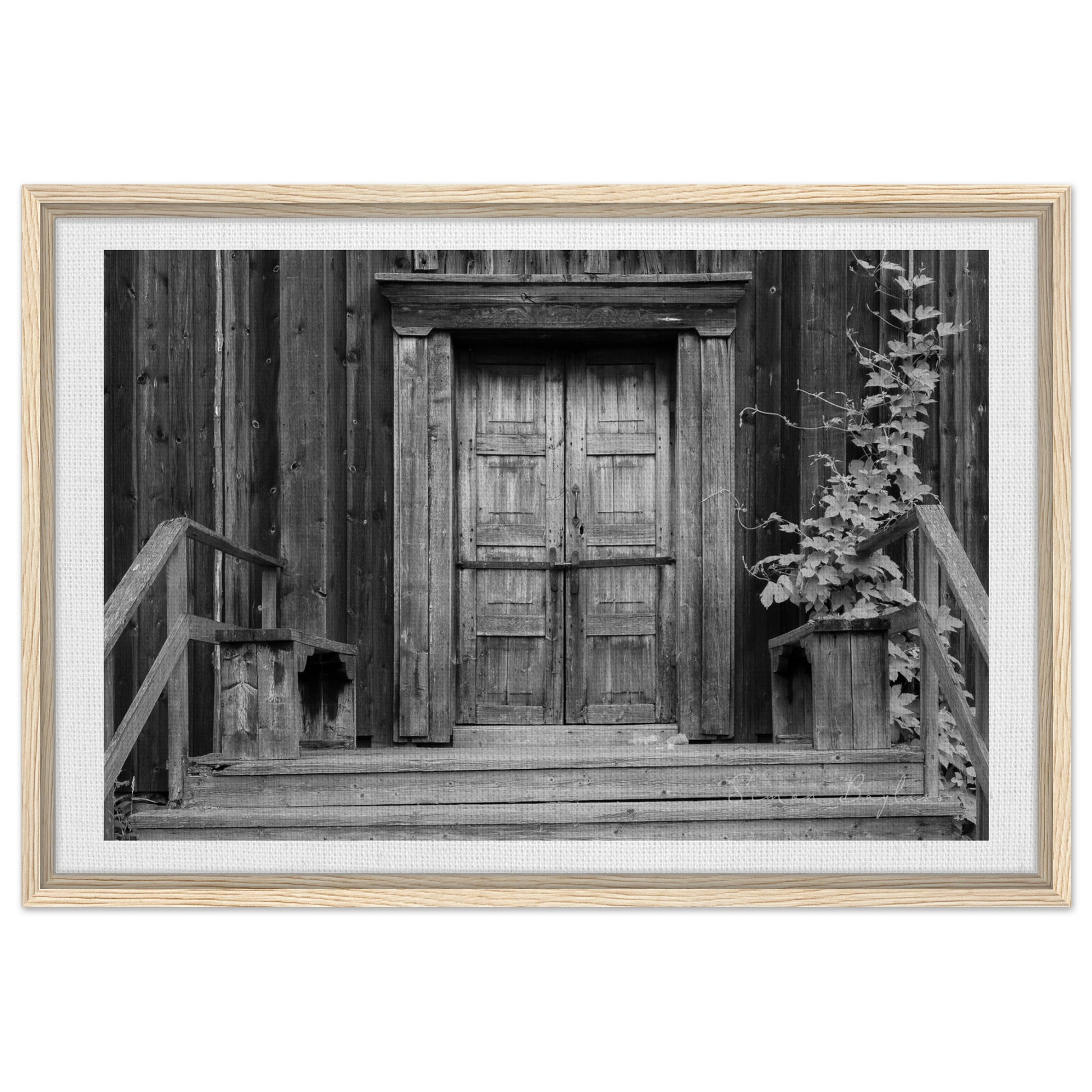 f432e4b5-62d1-4c56-9c9c-efb510eccbf5