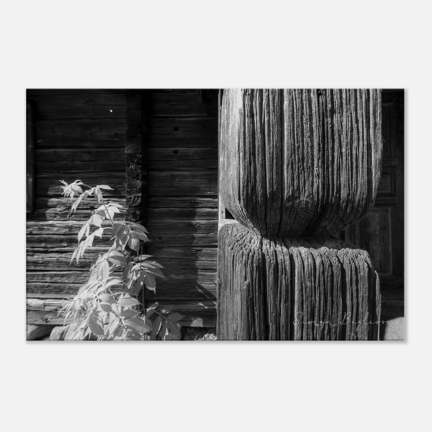 f4567704-0f90-4dd3-8288-162c558a1f69