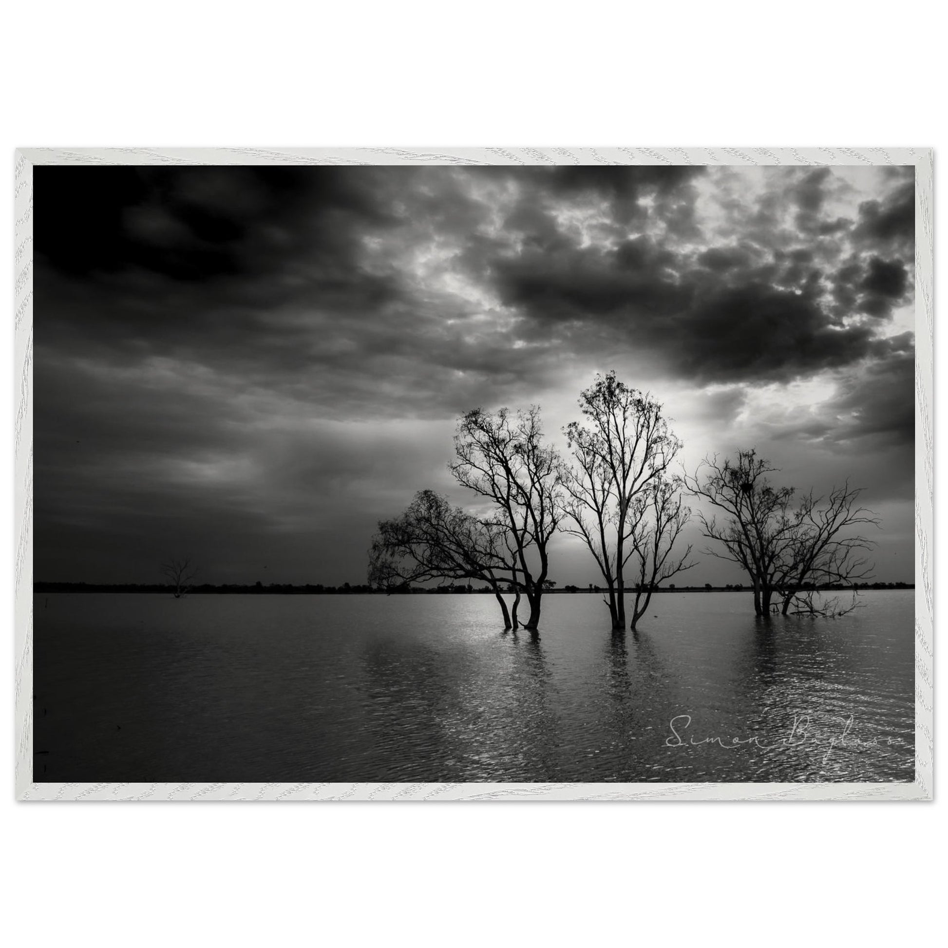 f4887f5f-7bb7-4591-9877-0c874473c513