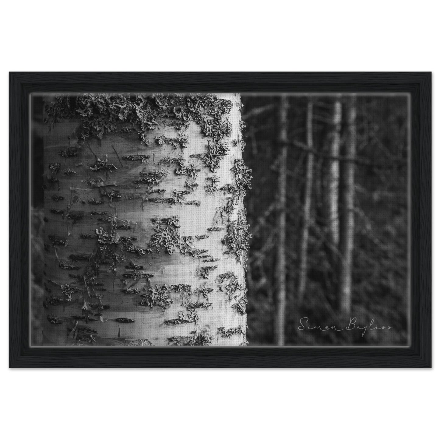 f54c9f21-7d2a-4530-a0ad-03ead75ddb40