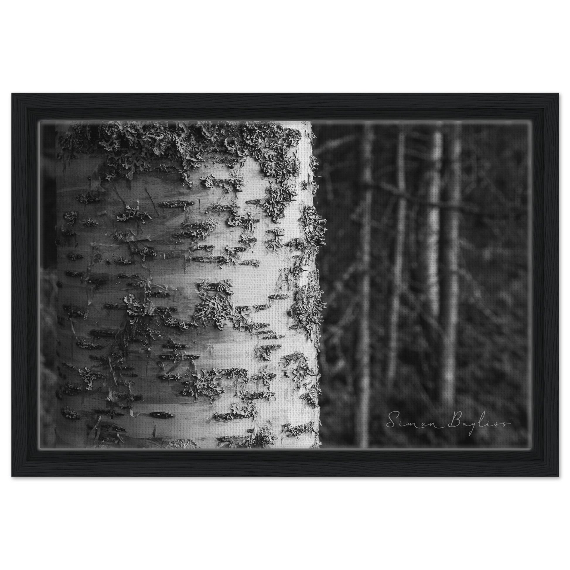 f54c9f21-7d2a-4530-a0ad-03ead75ddb40