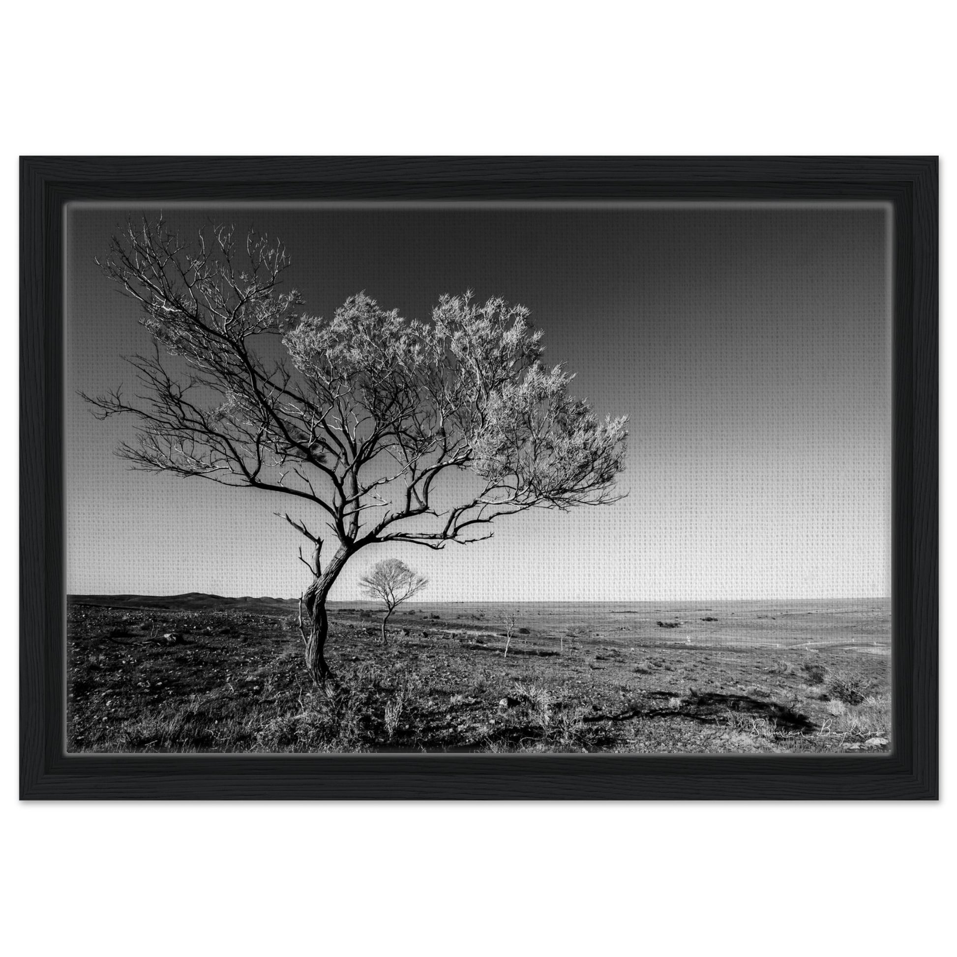 f560660b-1850-4341-9110-cb72aed171f5