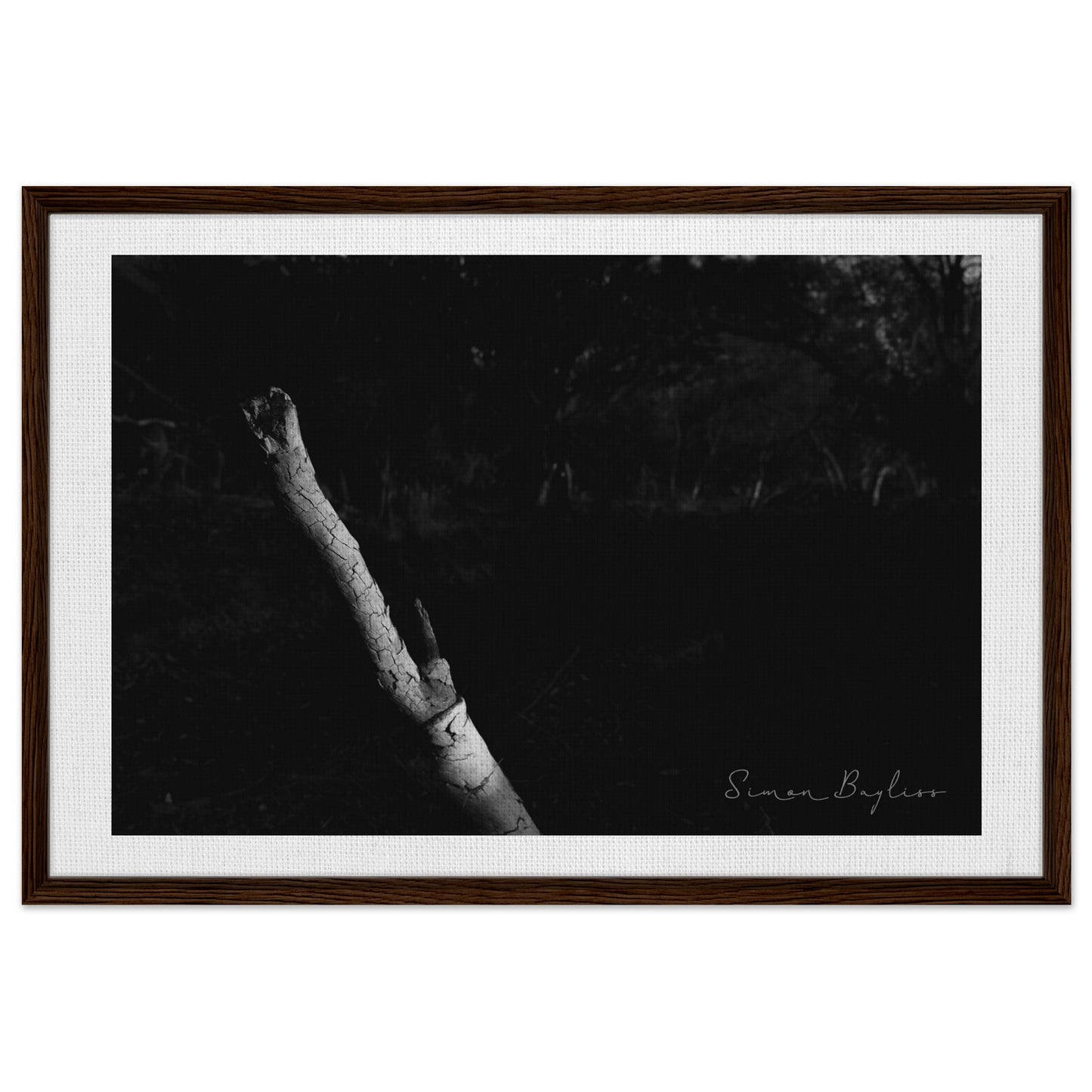 f5a82cdd-9bb2-4a42-a481-0a3c736c67cd