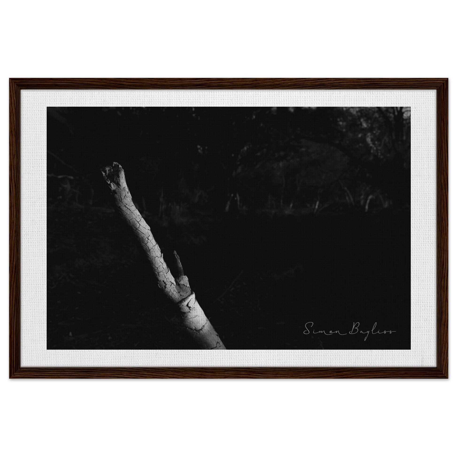 f5a82cdd-9bb2-4a42-a481-0a3c736c67cd