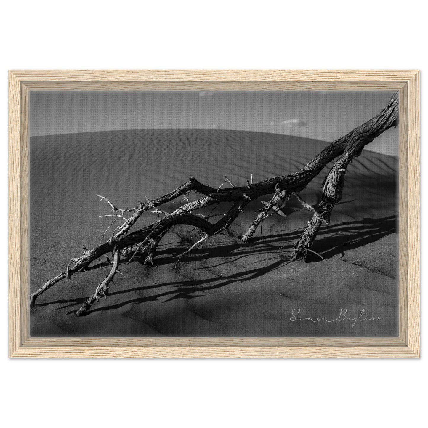 f6169eb4-800d-465b-8121-9e8b40f50945