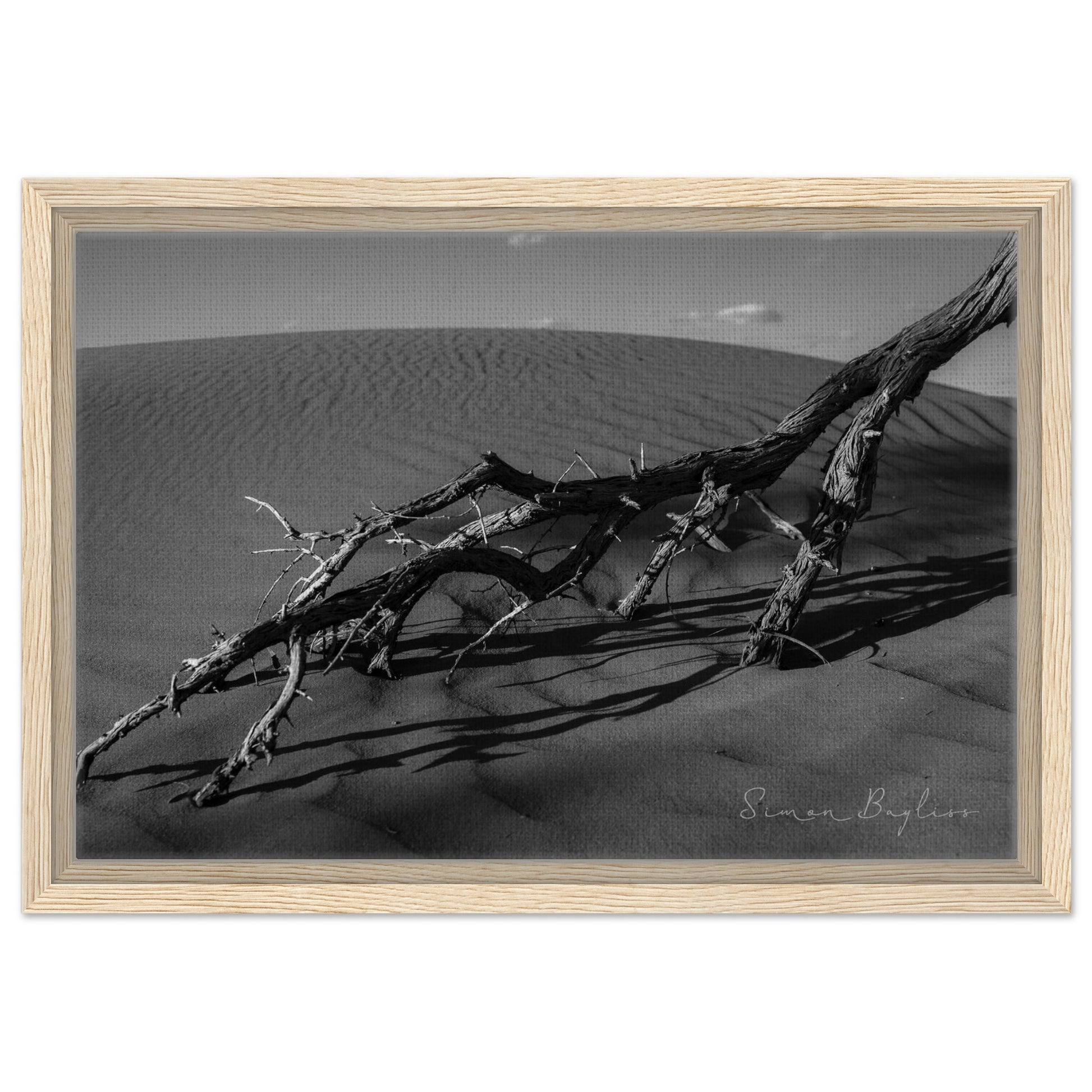 f6169eb4-800d-465b-8121-9e8b40f50945