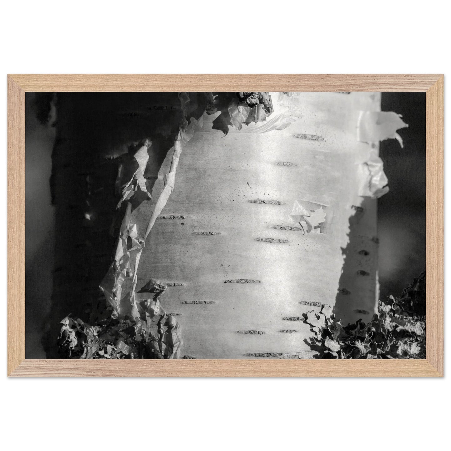 f7aaf09a-cbf2-4e3d-b3ed-e132ccad91c9