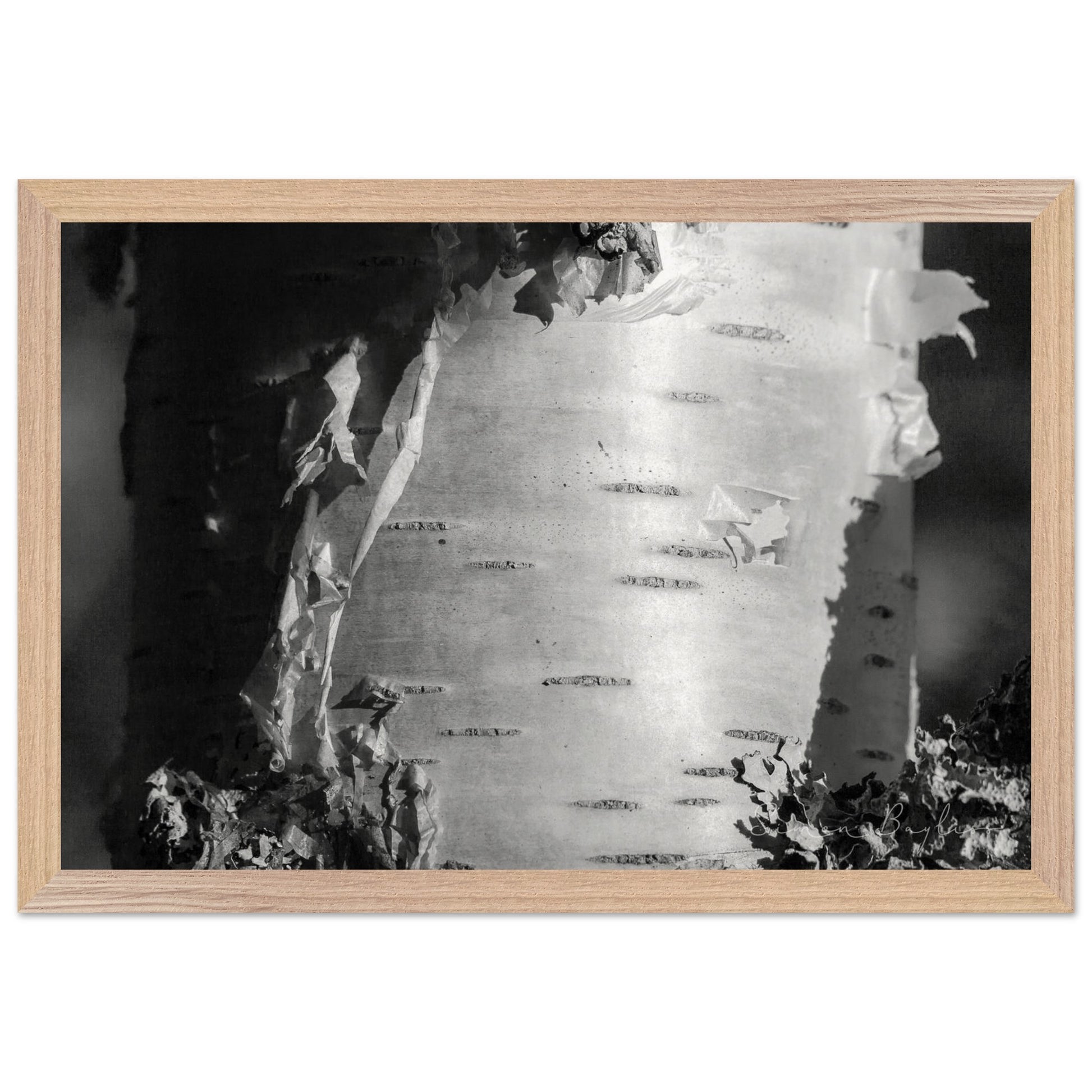 f7aaf09a-cbf2-4e3d-b3ed-e132ccad91c9