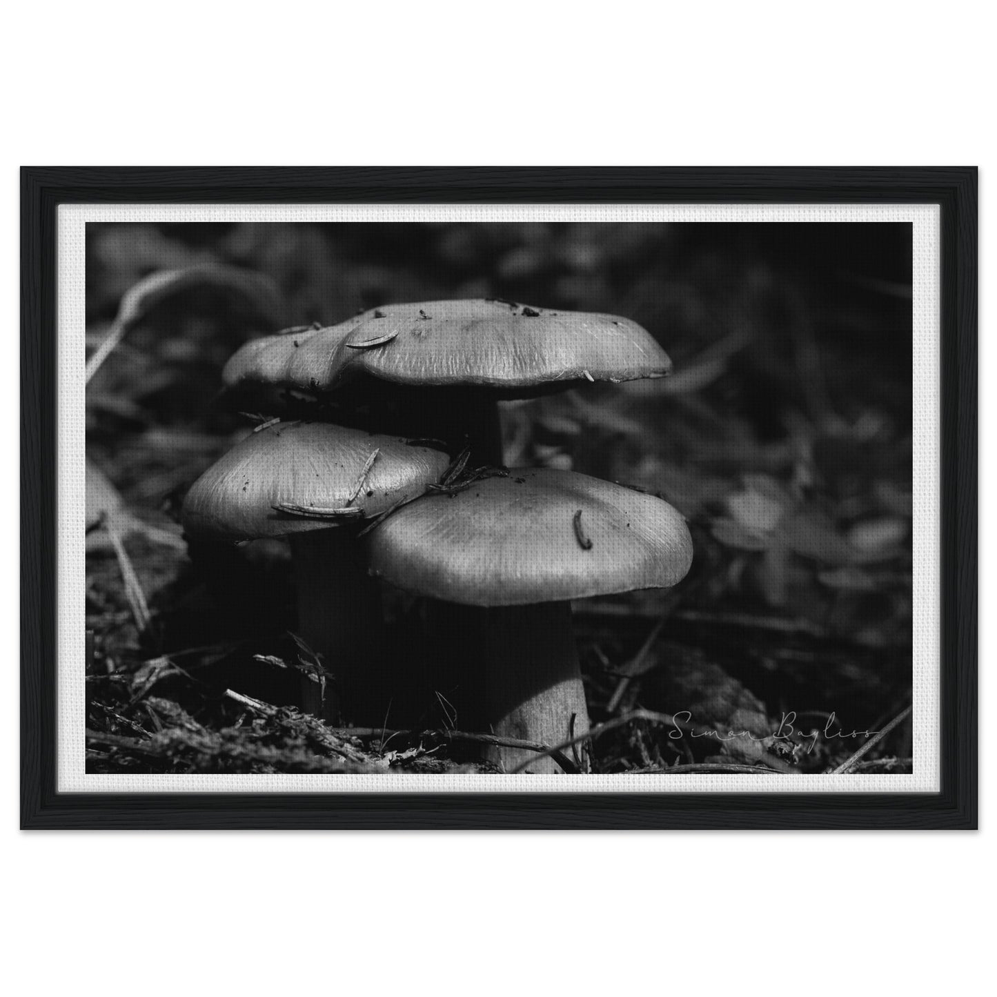 f81c5703-ec79-4bde-8571-8a6f1cea2aa6