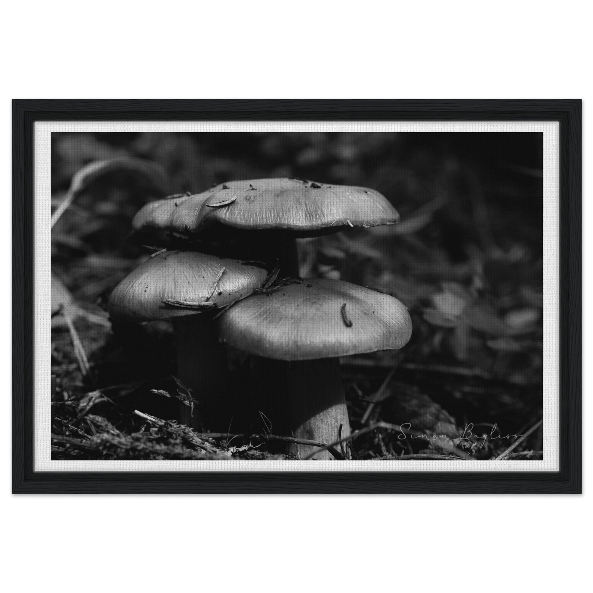 f81c5703-ec79-4bde-8571-8a6f1cea2aa6