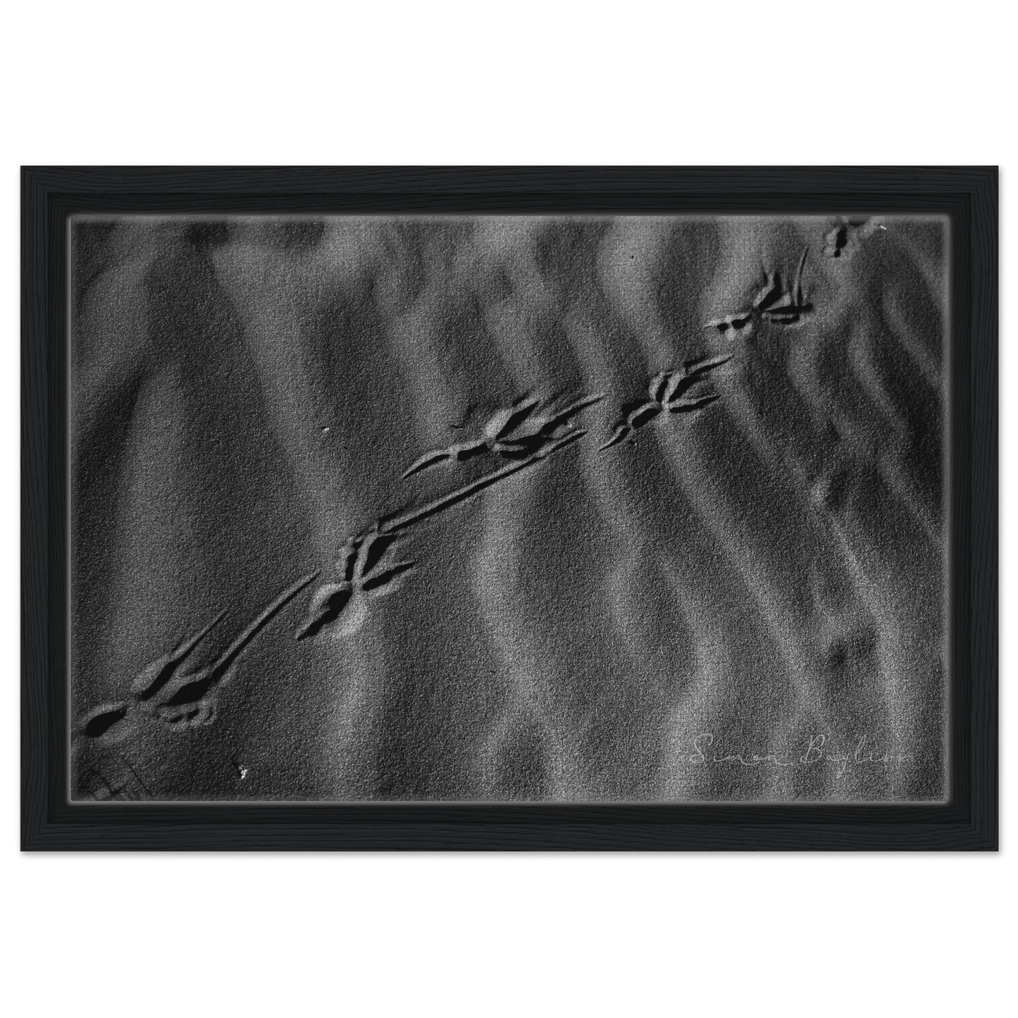 f83ee1b0-a12f-4379-9e21-4ef83671cbd6