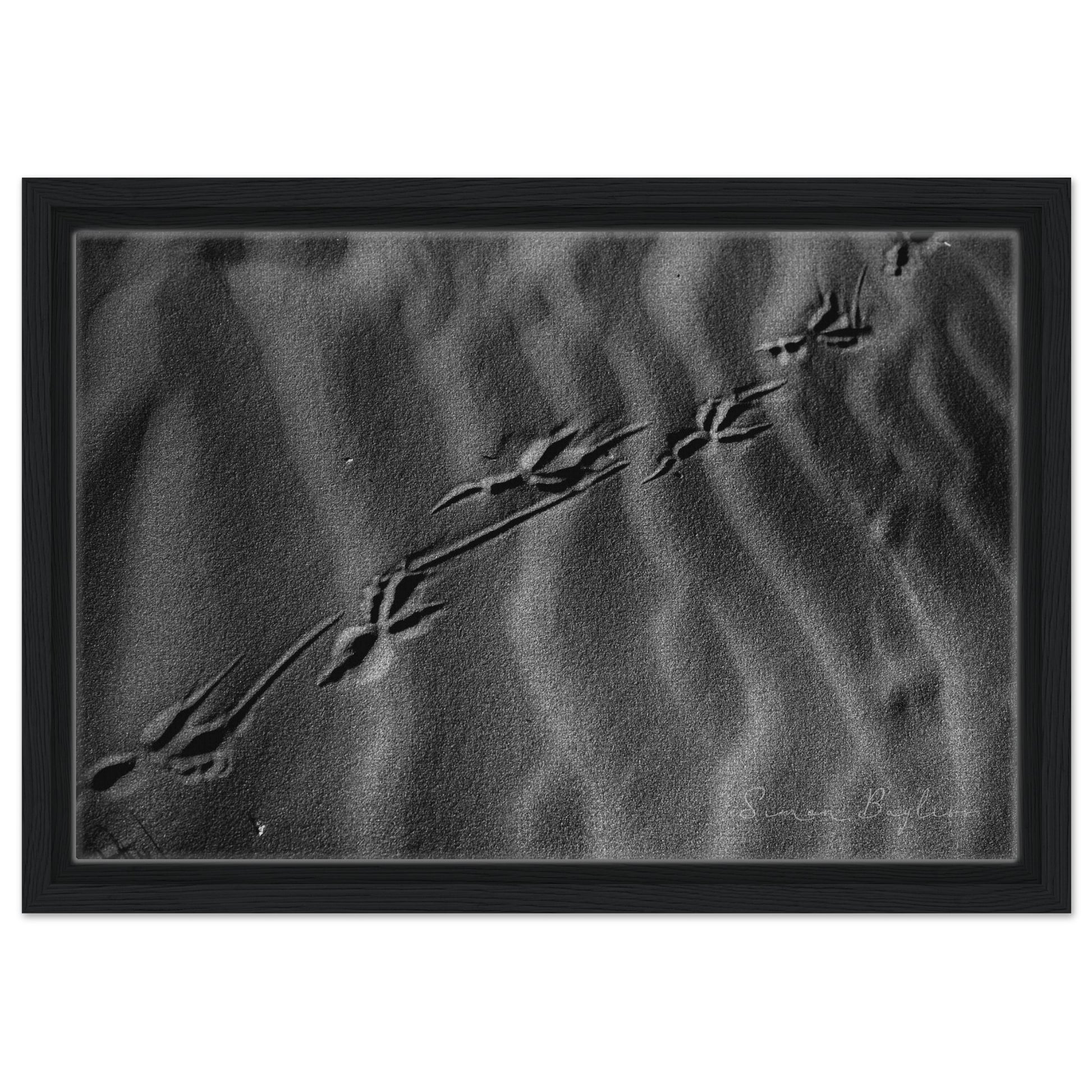 f83ee1b0-a12f-4379-9e21-4ef83671cbd6