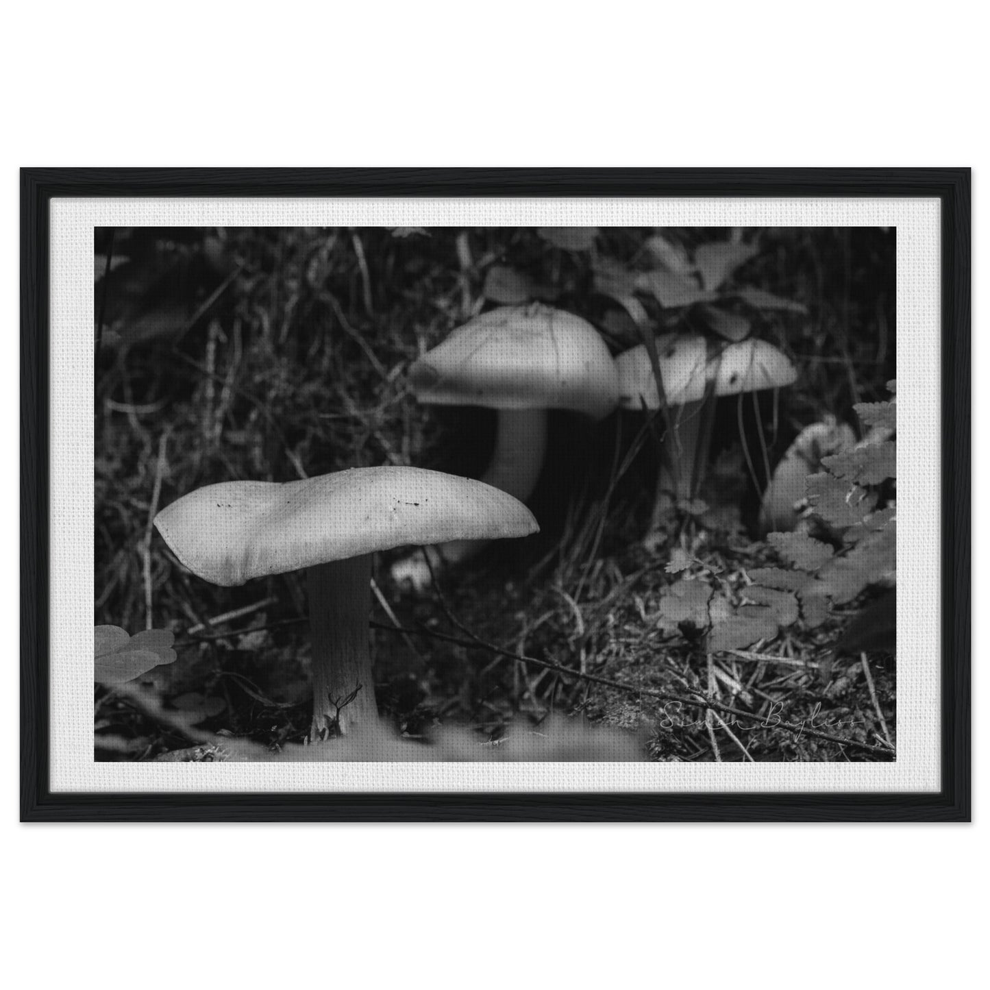 f84c7d2b-3f4d-4ac0-9e27-ee6337dda1a6