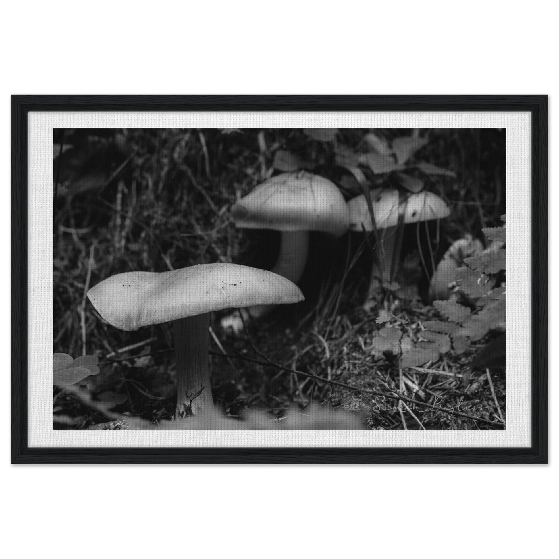 f84c7d2b-3f4d-4ac0-9e27-ee6337dda1a6