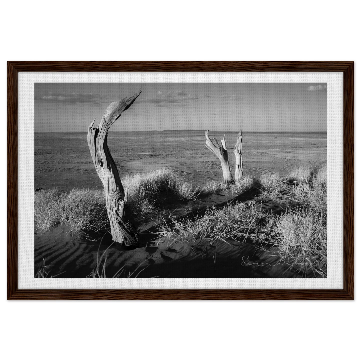 f8623387-b249-44b2-bb9f-4d62c249d28f