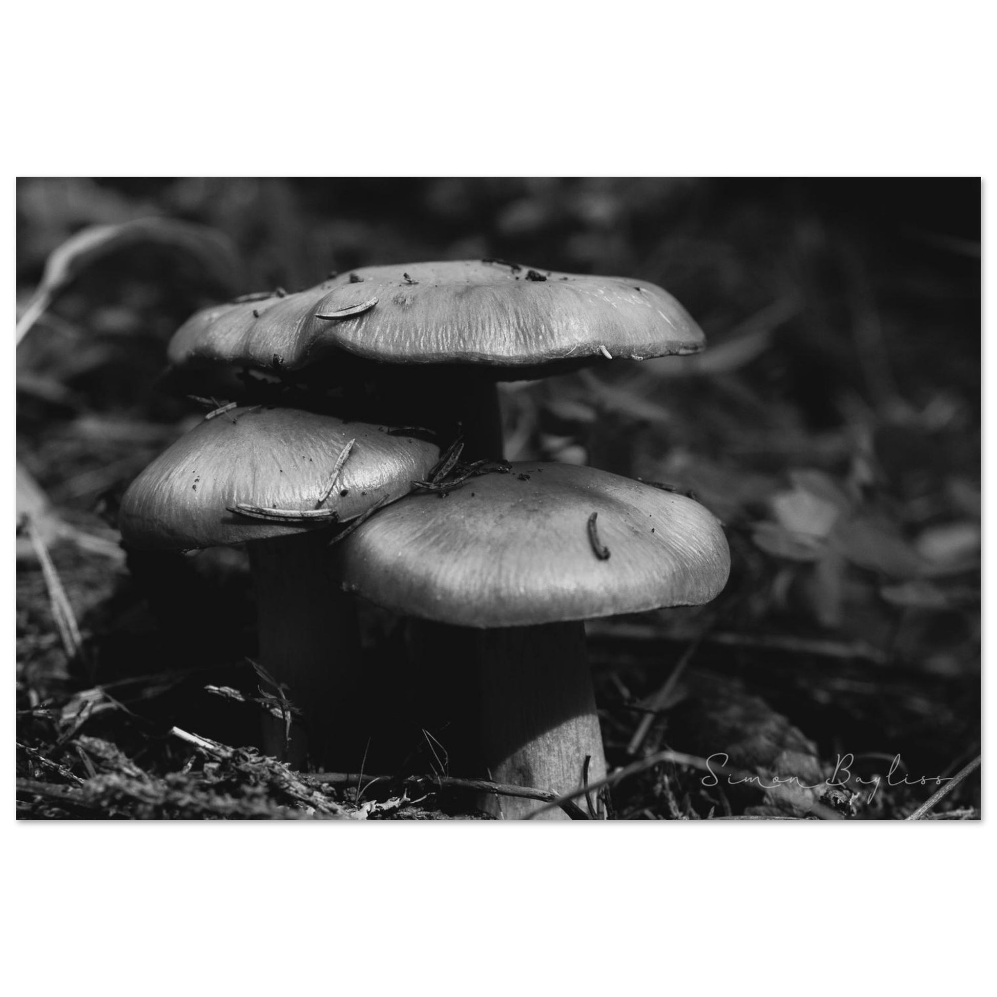 f86ee44a-da5d-48d2-9b02-d52a7ef68e27