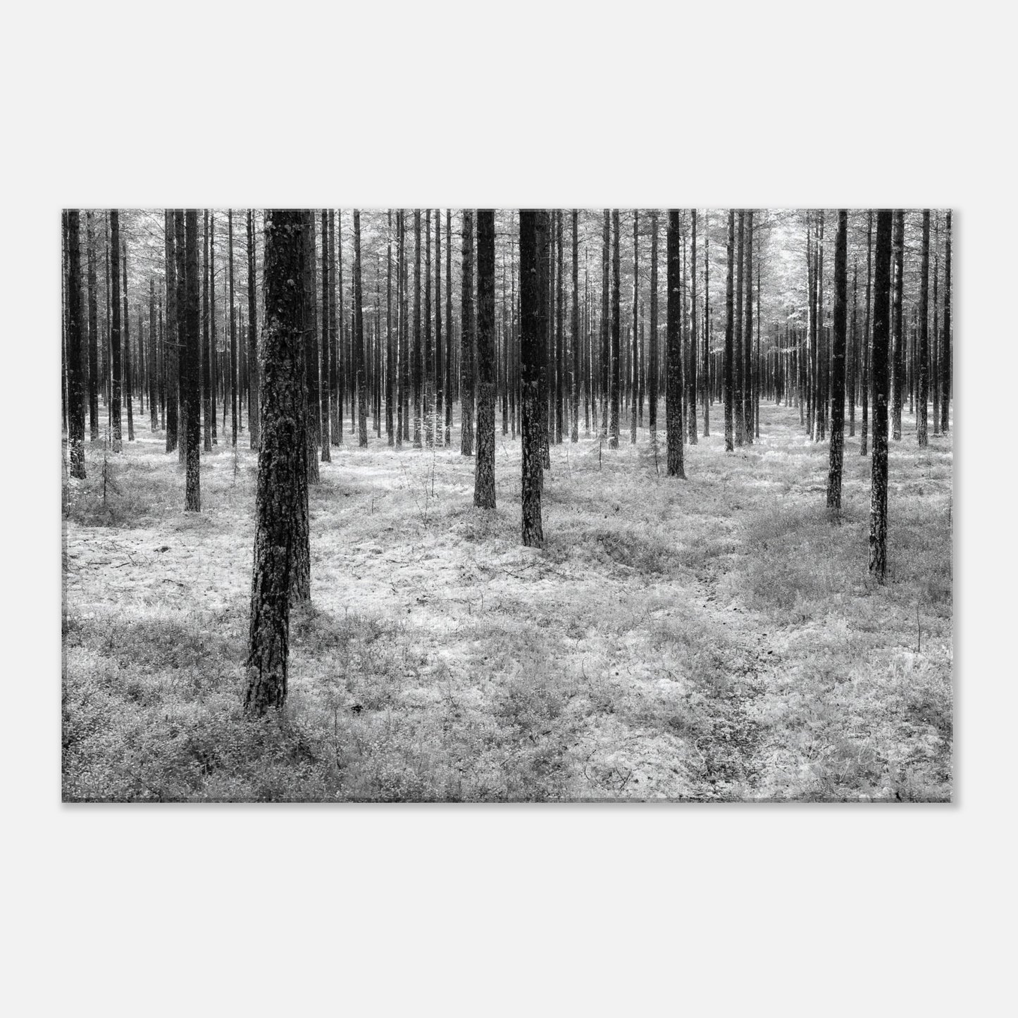 f8cebf2f-f1aa-441a-afa6-1ef5b5b80484