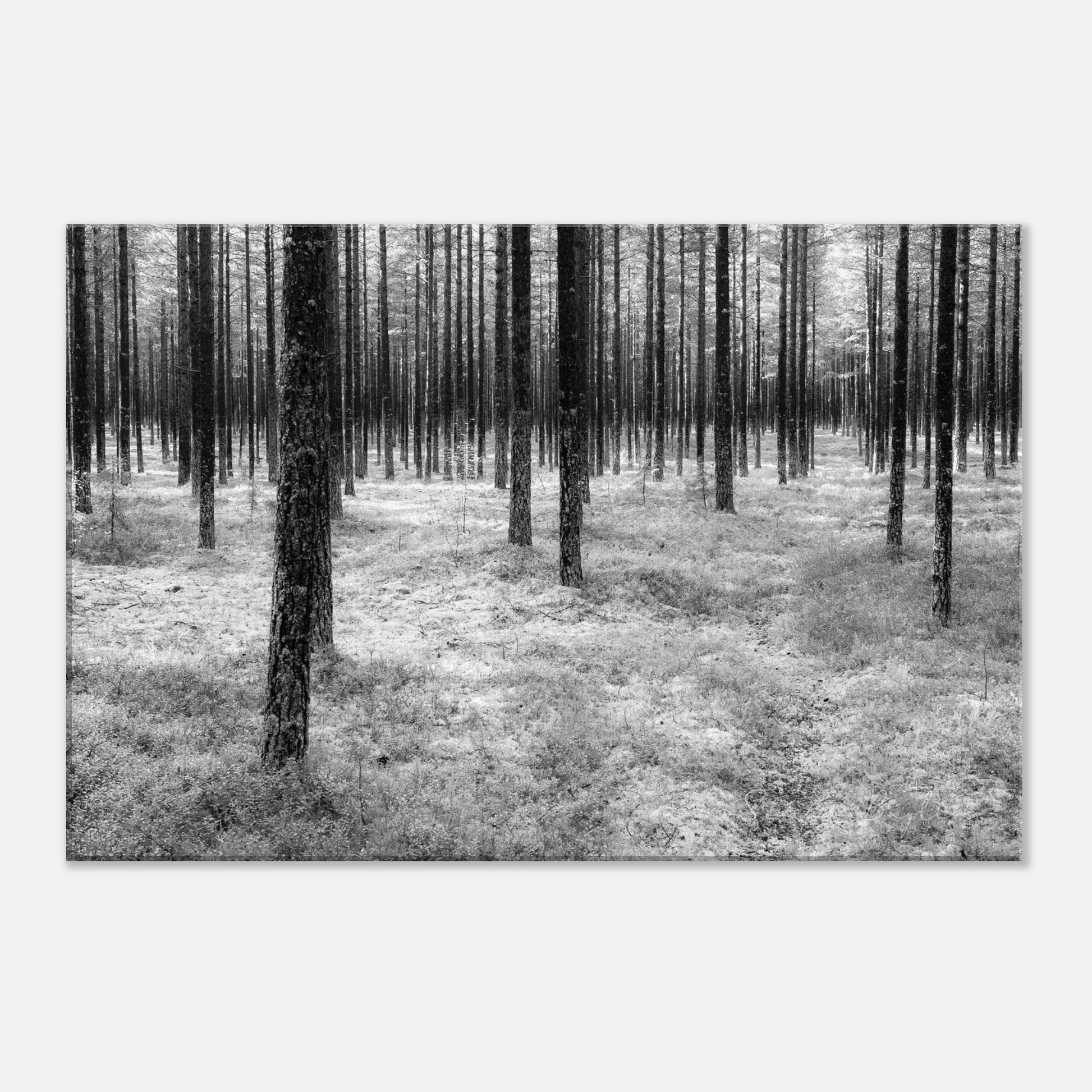 f8cebf2f-f1aa-441a-afa6-1ef5b5b80484