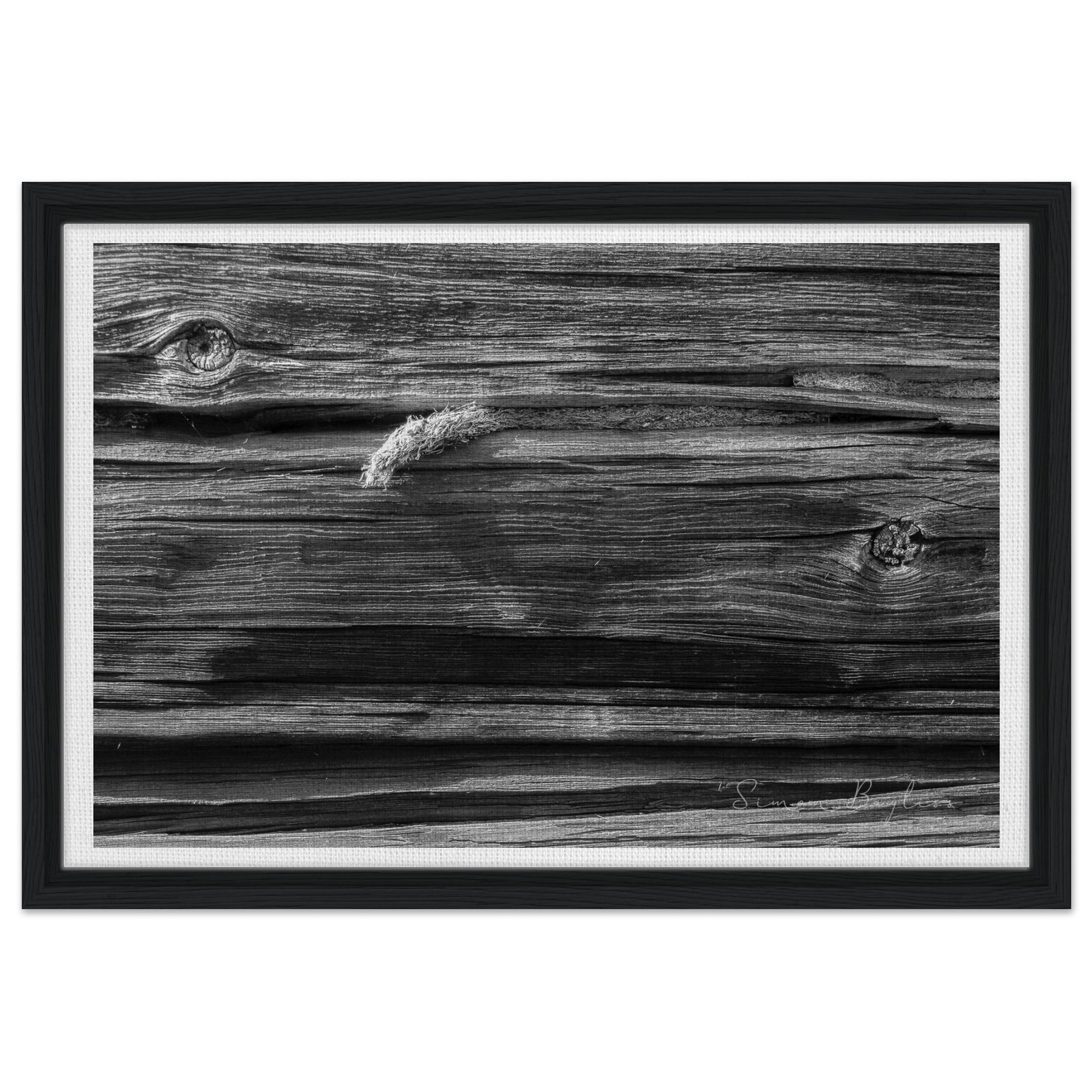 f8cf6d5b-d288-4baf-9447-b5e826dca023