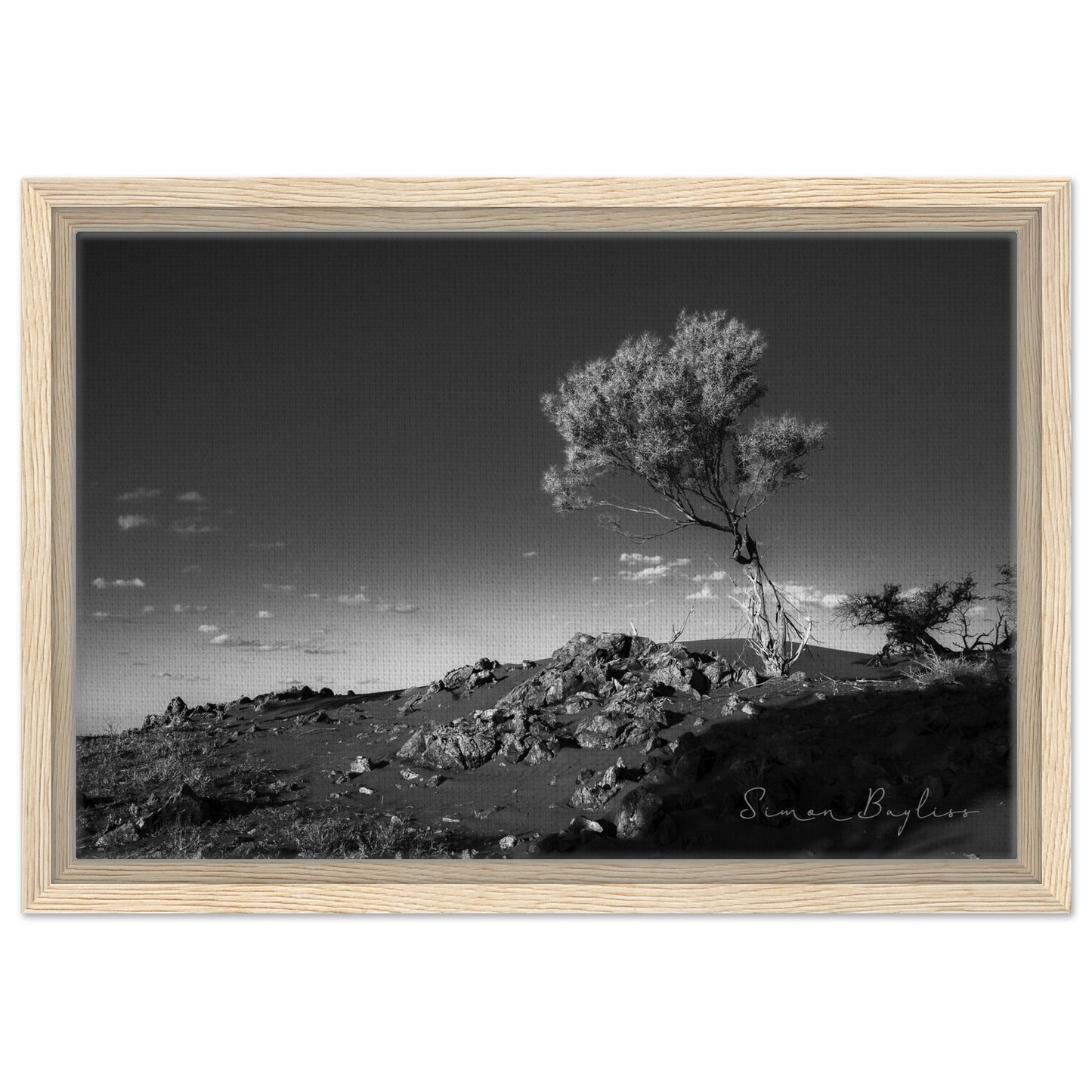 f973e598-215e-43a1-8a56-f8f57f0c581d