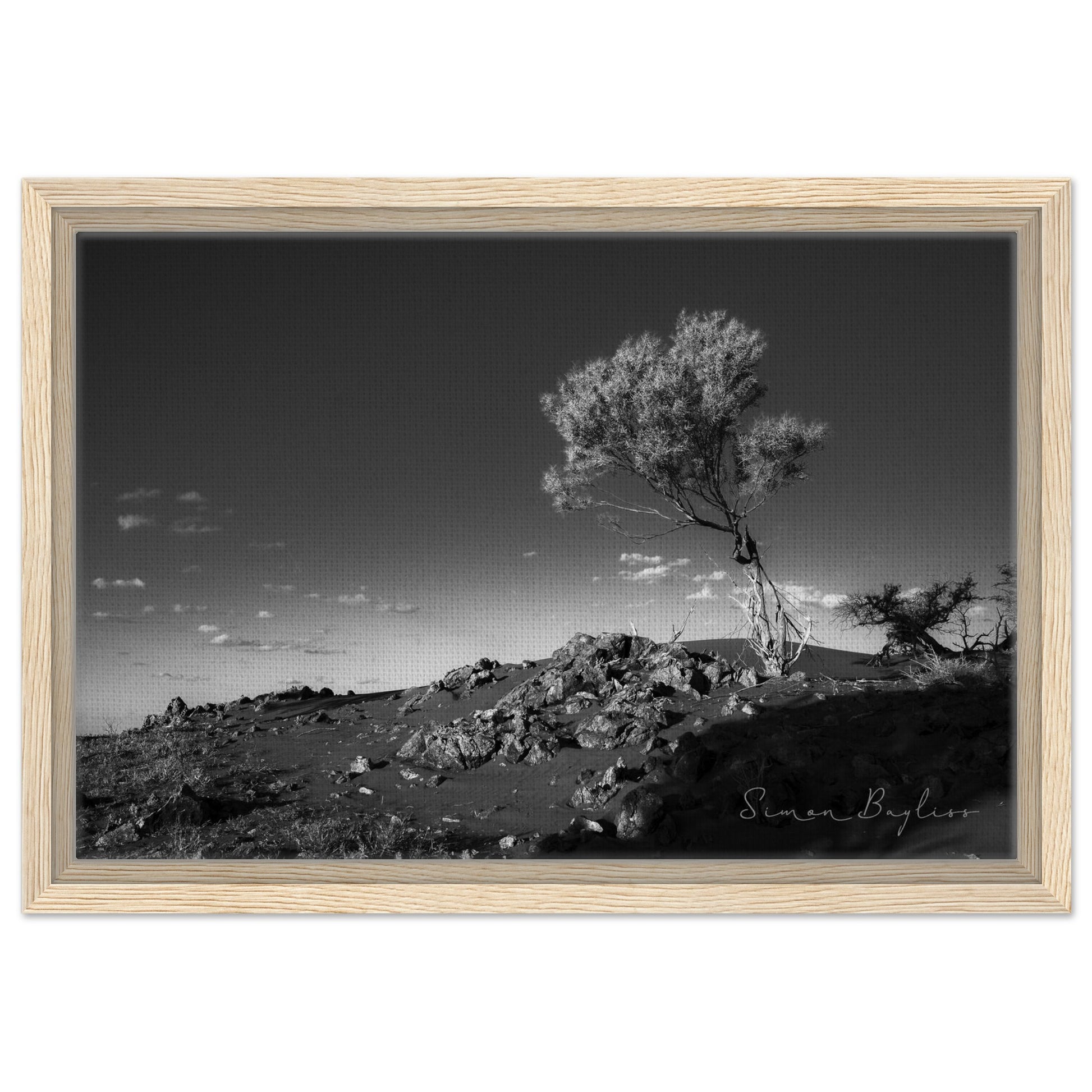 f973e598-215e-43a1-8a56-f8f57f0c581d