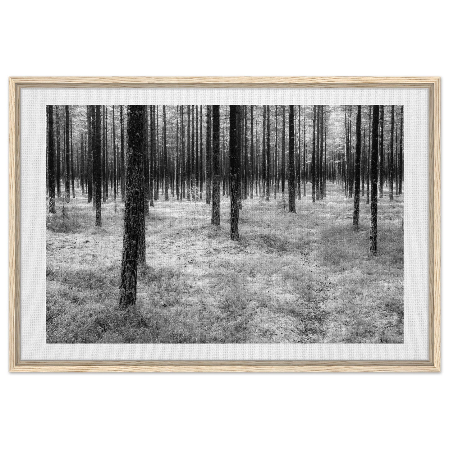 fa0e5580-3bf4-457d-91a7-adc8f7c7671a