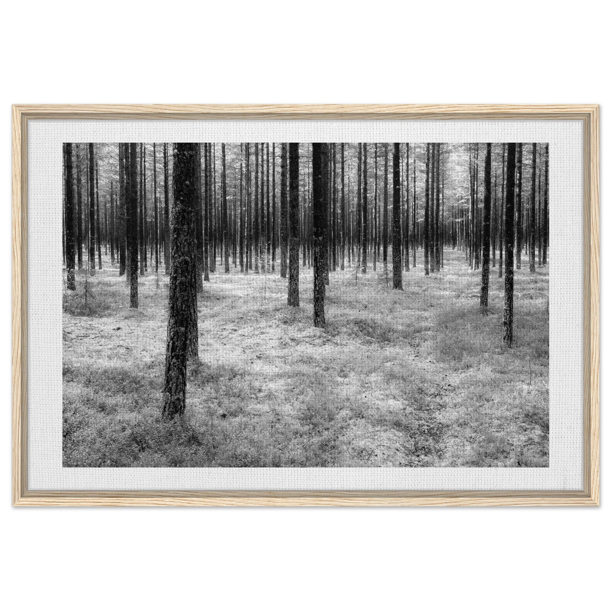 fa0e5580-3bf4-457d-91a7-adc8f7c7671a