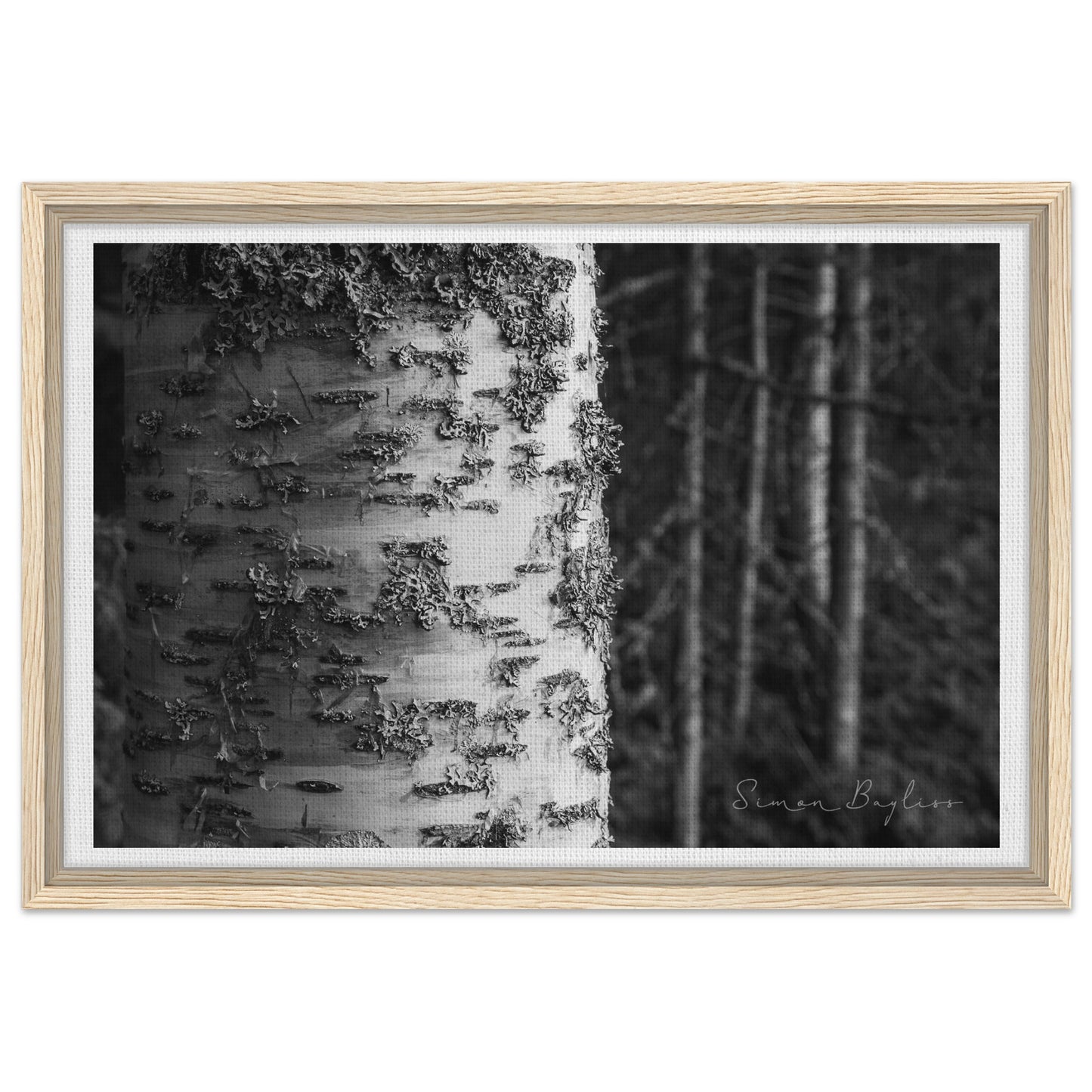 fa5285dd-df45-4c30-baaf-9a81f200b2e0