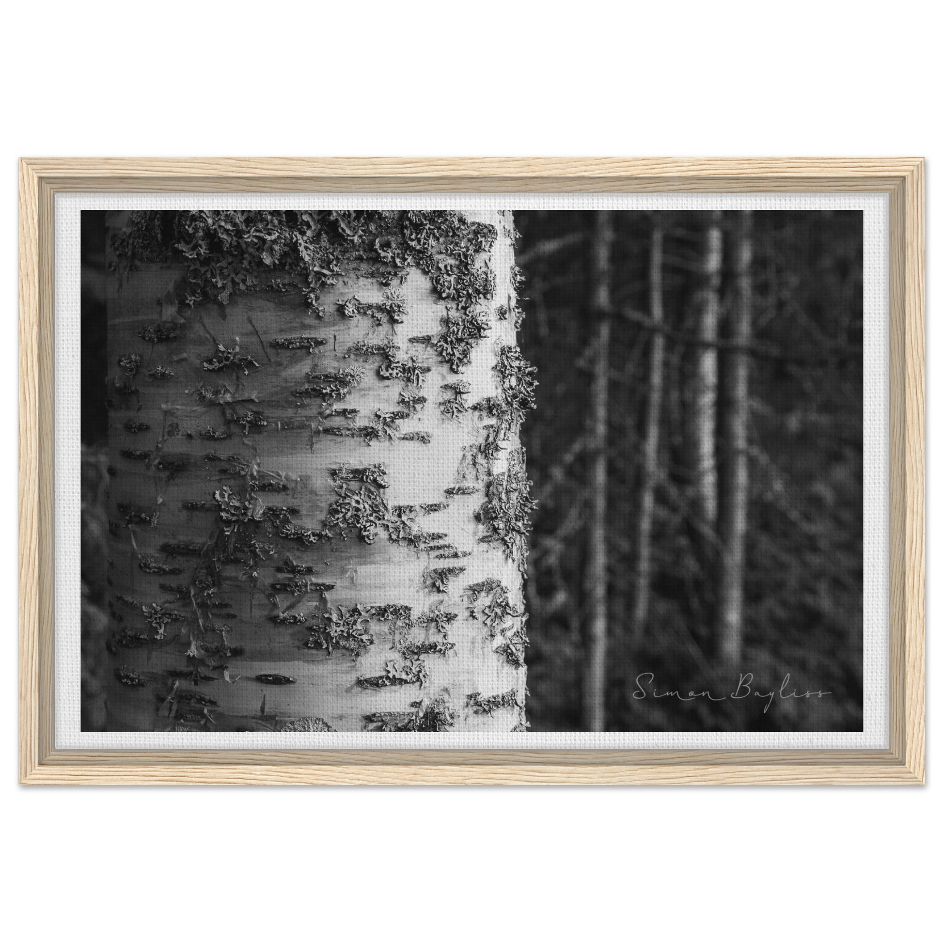 fa5285dd-df45-4c30-baaf-9a81f200b2e0