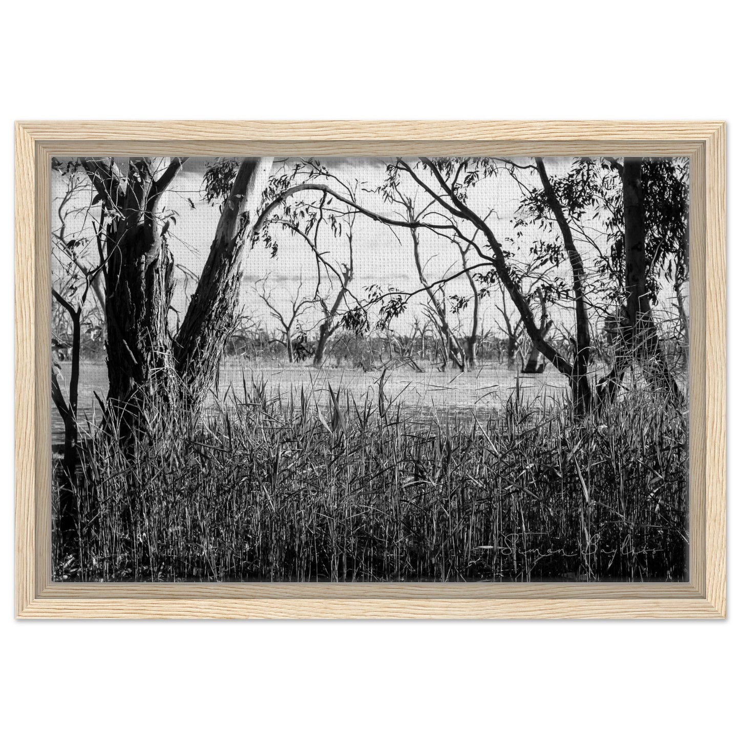 fa66544b-69ae-4740-95d2-b8cbe3b2ffb5