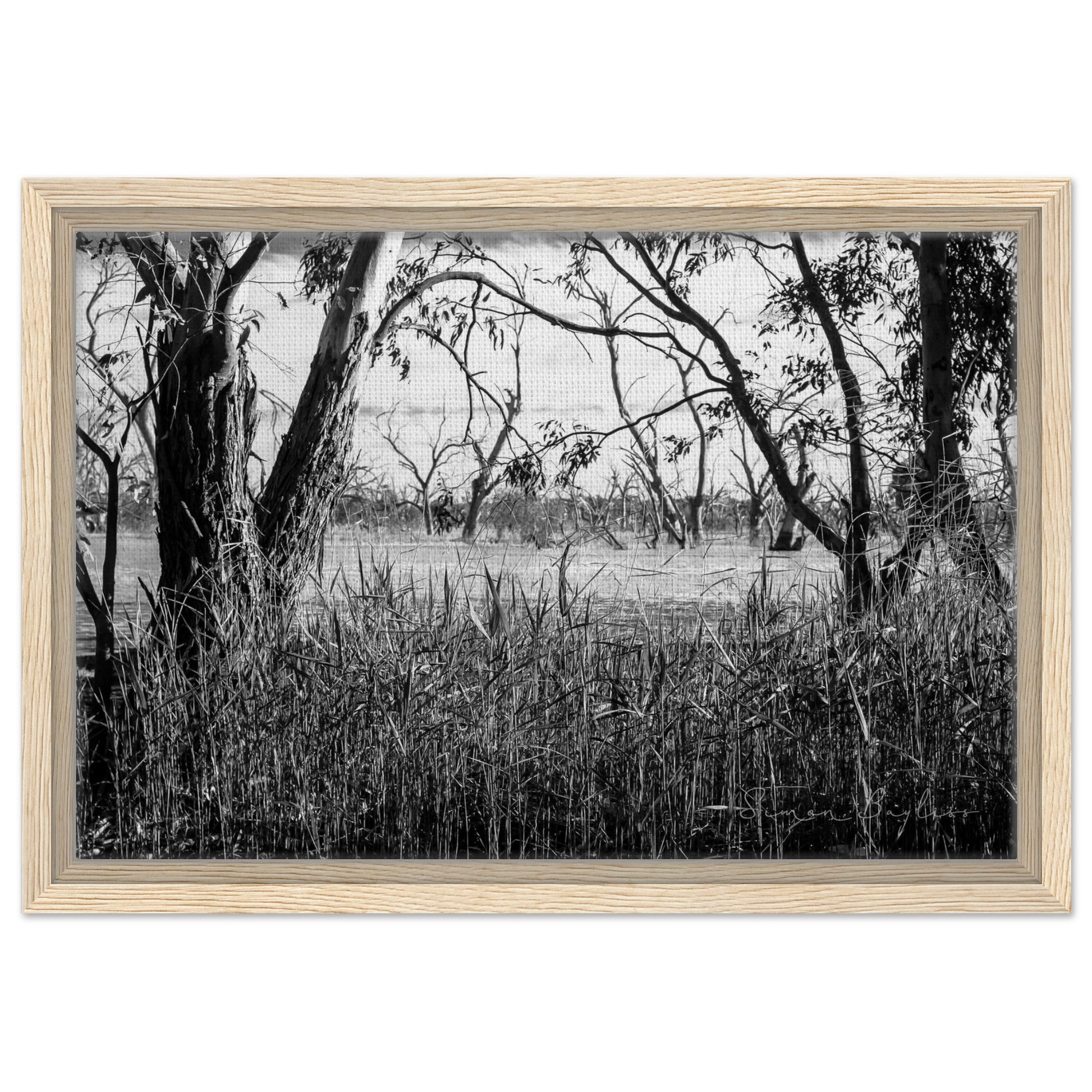 fa66544b-69ae-4740-95d2-b8cbe3b2ffb5