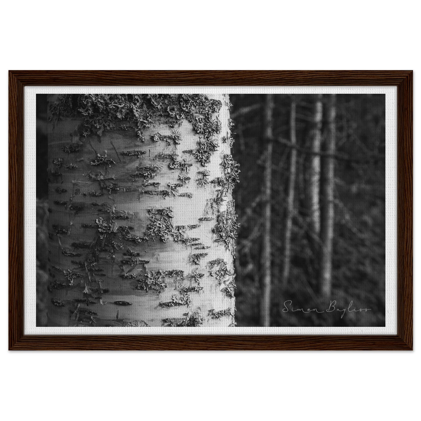 fb1f8cee-be96-44f4-8bb7-4bf3073ced8f