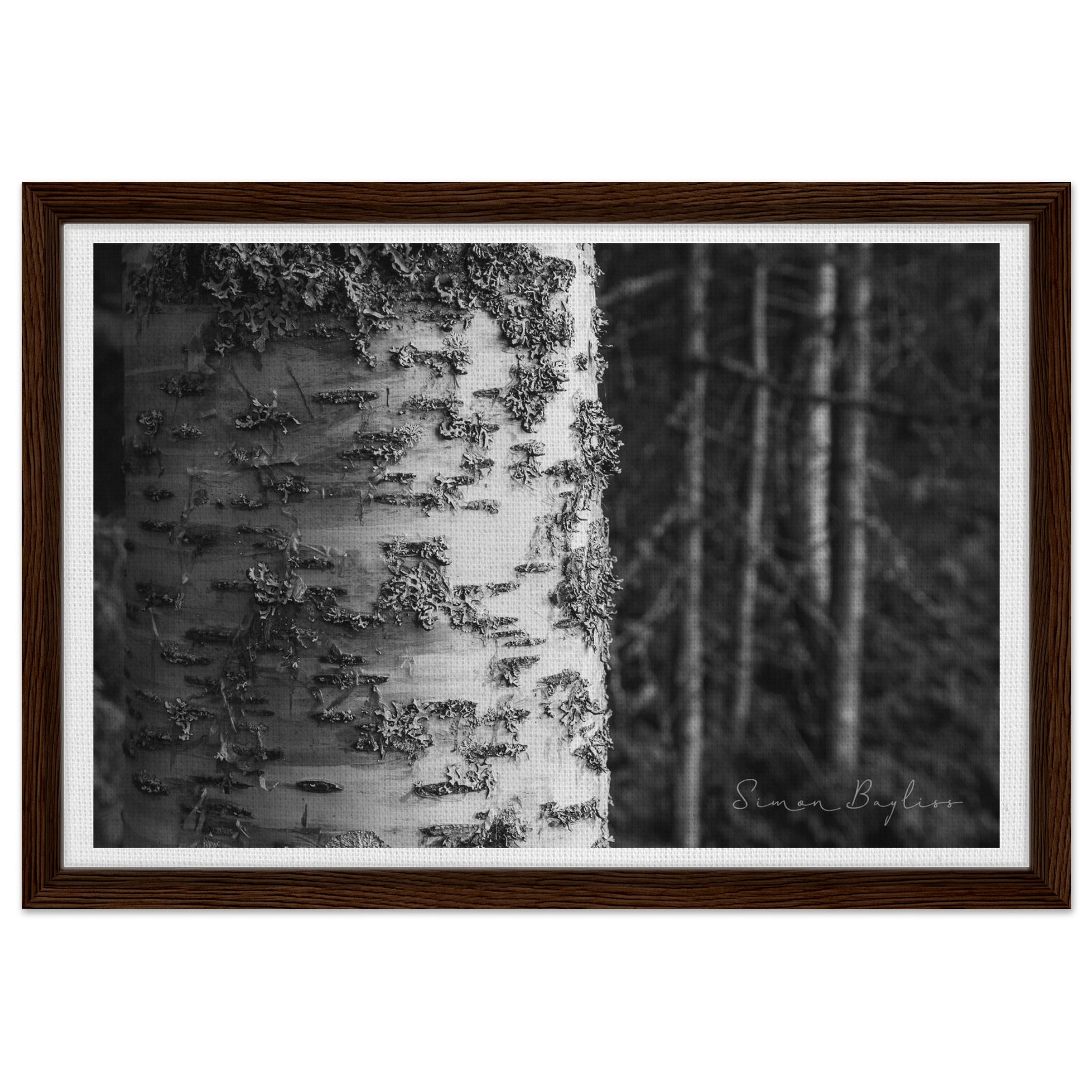 fb1f8cee-be96-44f4-8bb7-4bf3073ced8f