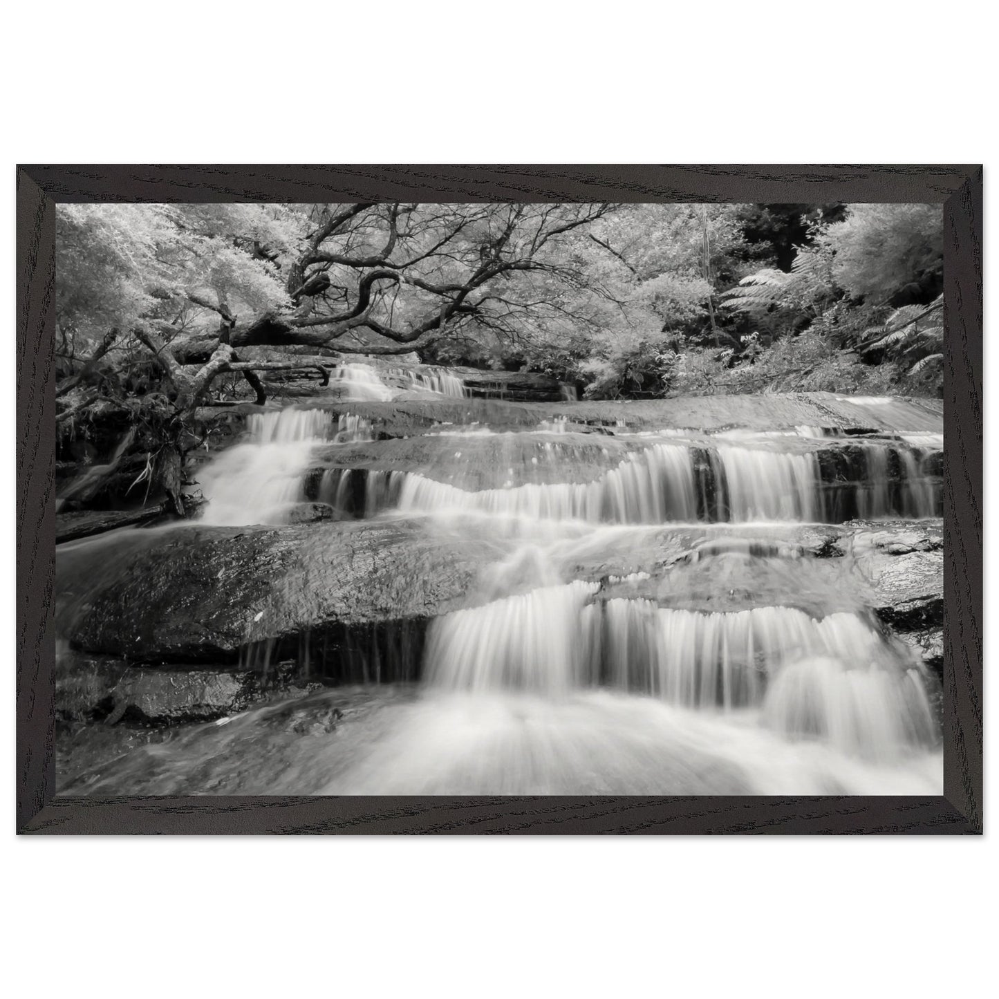 fb7618cf-a9c4-47df-bff6-d17fa341ac51