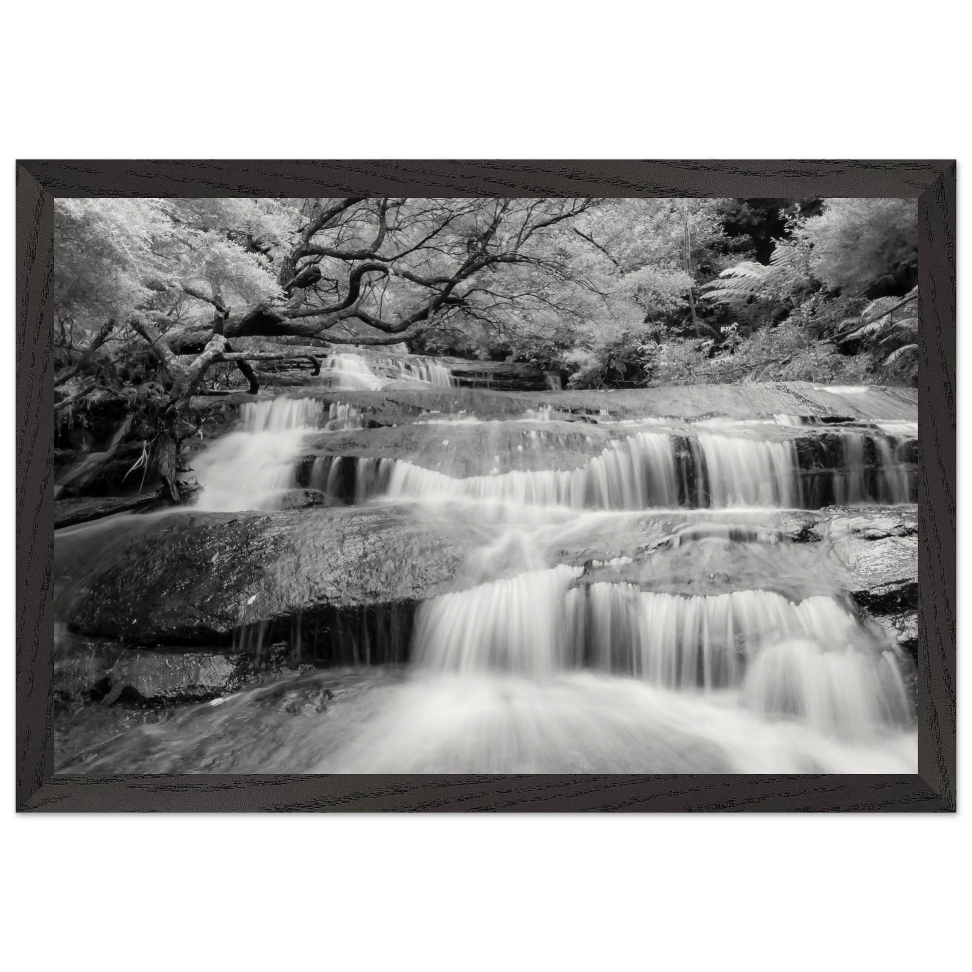 fb7618cf-a9c4-47df-bff6-d17fa341ac51