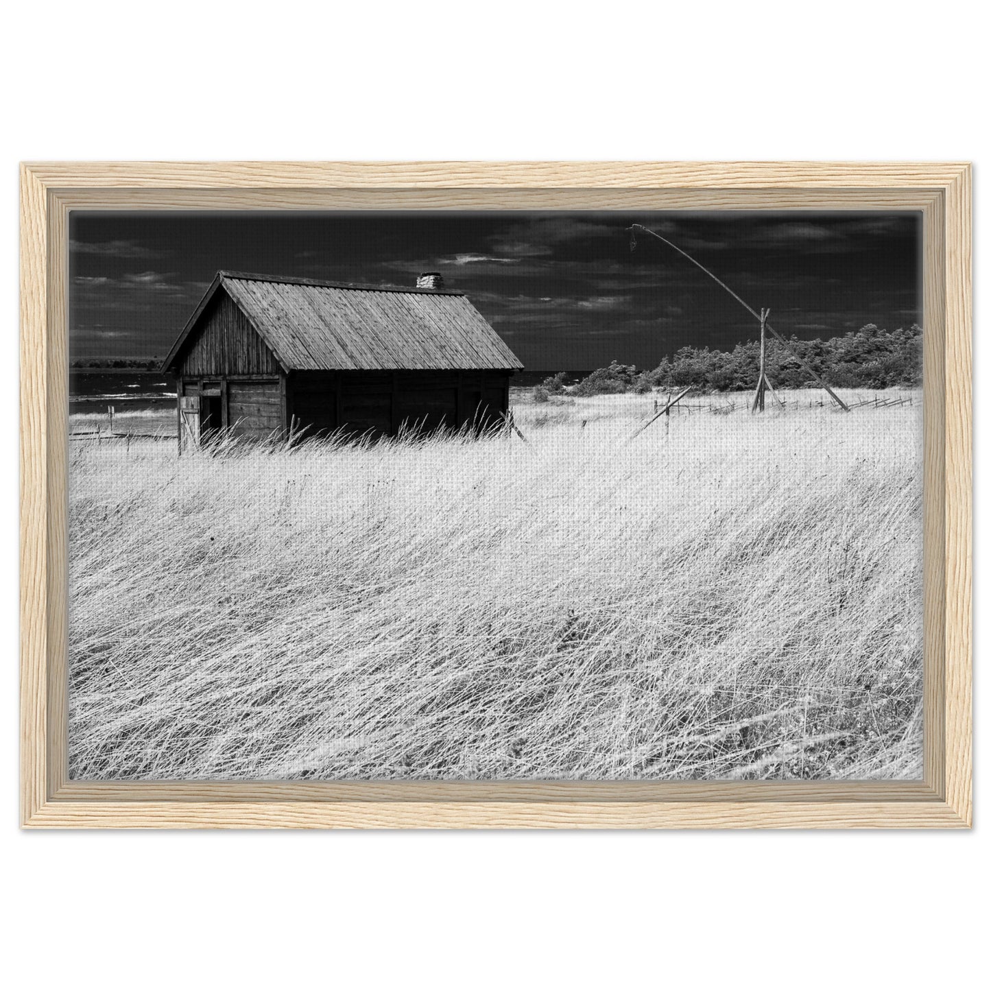 fba86be7-7957-4393-b51b-ddb02572c7b1